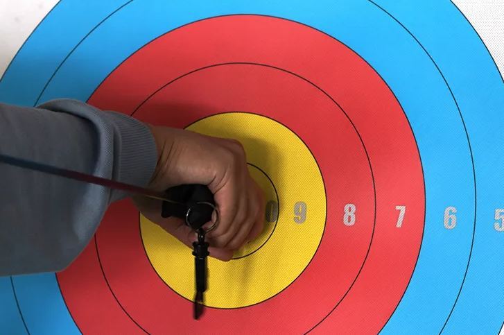 SANLIDA X10 Advanced Competitive Recurve 50m Target Paper (5packs)