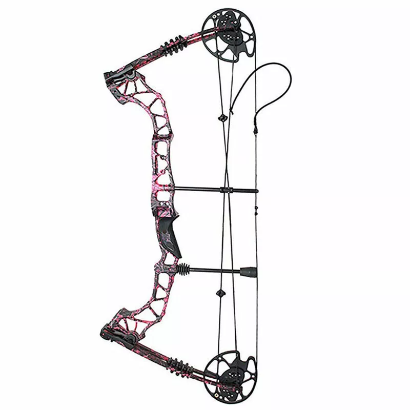 KAIMEI Qin Compound Bow Arrows Set 30-70lbs Adjustable