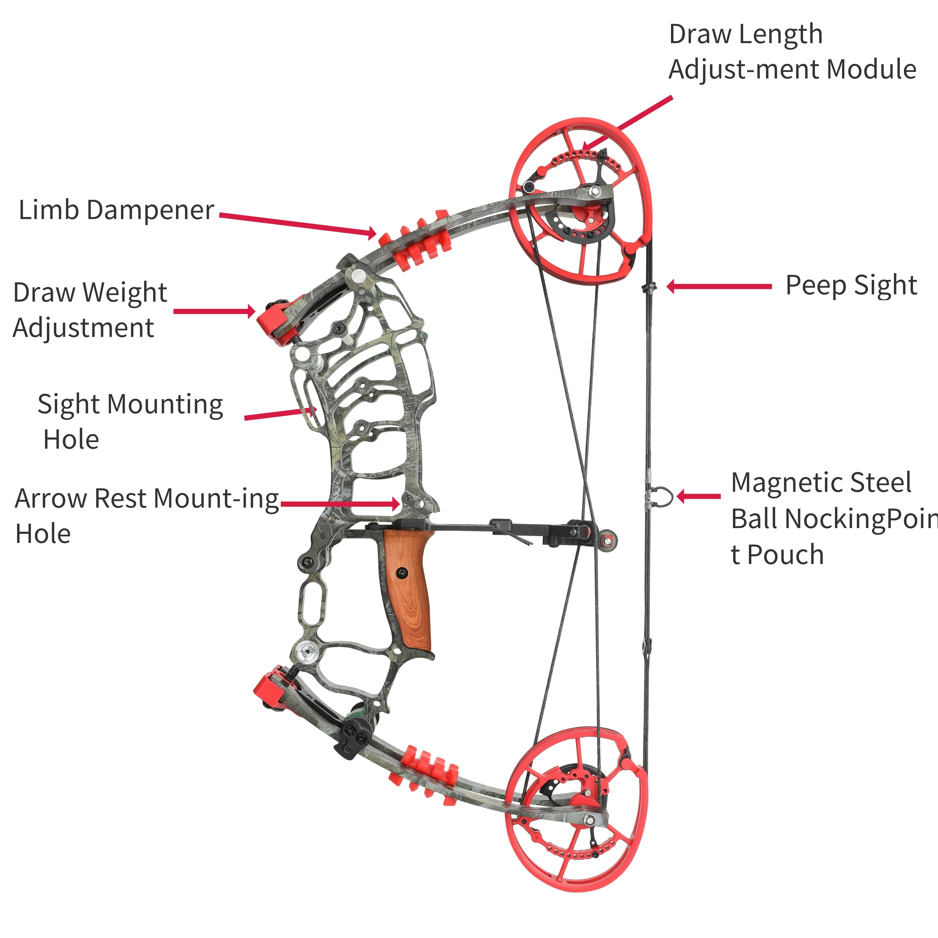 Short Axis Dual-use Compound Hunting Bow 30-70 lbs