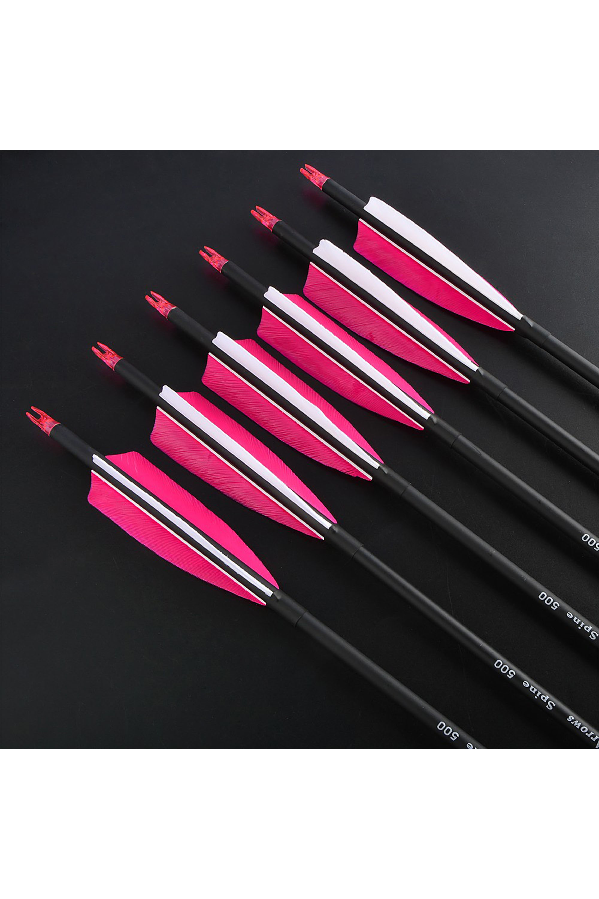 12x 30" Carbon Arrows Natural Feathers SP500 Archery Hunting