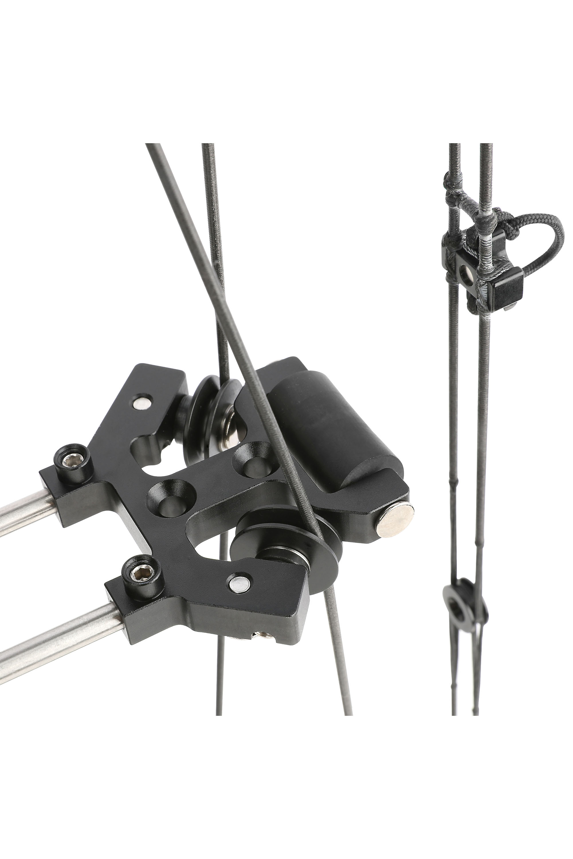 Night Hawk Dual-Use Compound Bow, 40–65 lbs, Black Ambidextrous Build