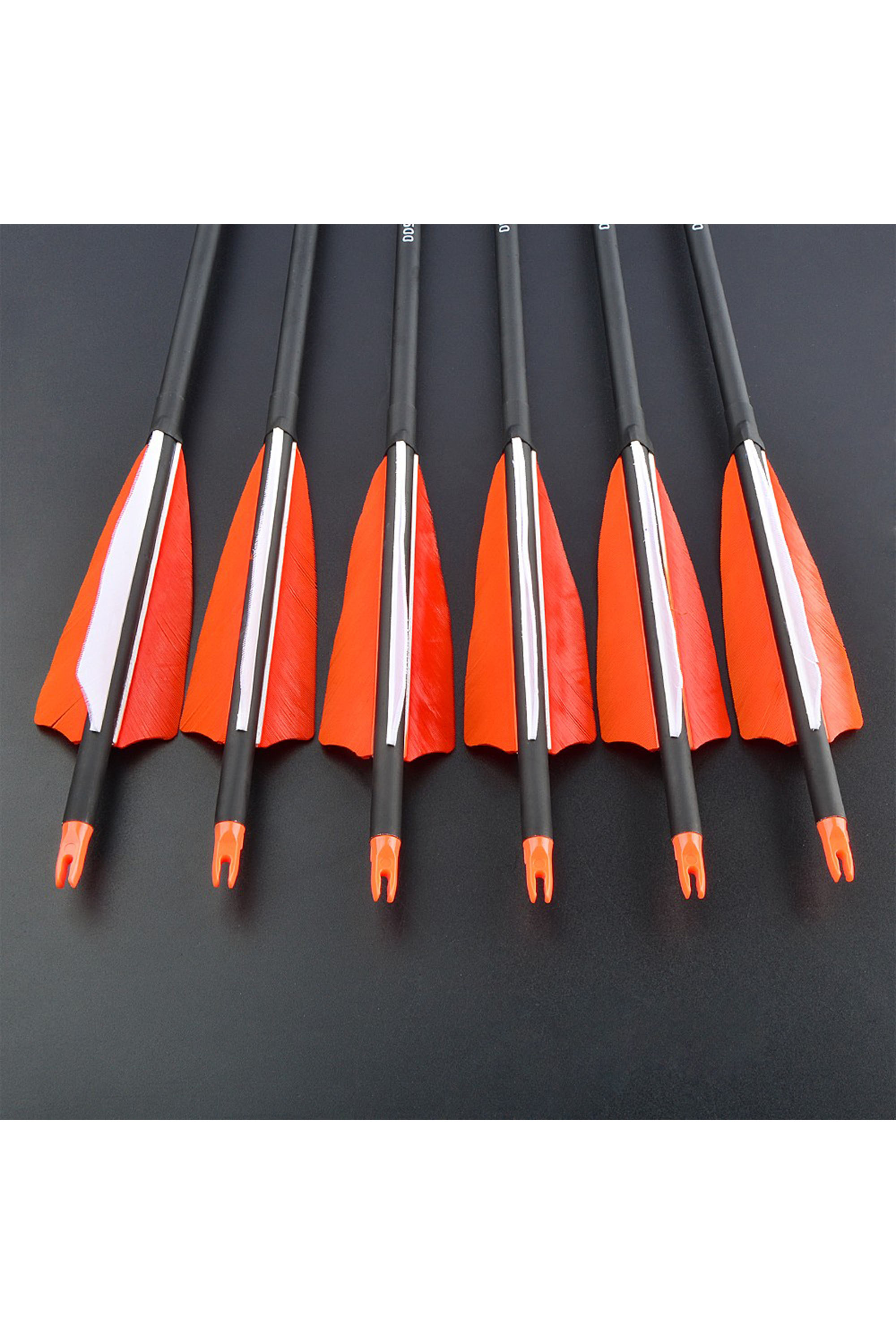 12x 30" Carbon Arrows Natural Feathers SP500 Archery Hunting