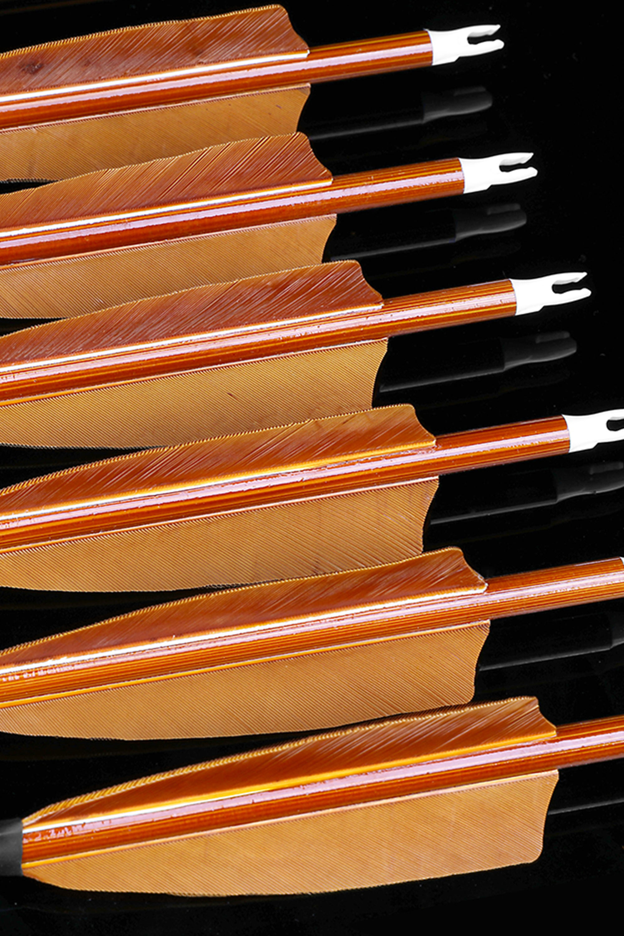 SHARROW 500 Spine Carbon Bamboo Arrows - 12 Pack