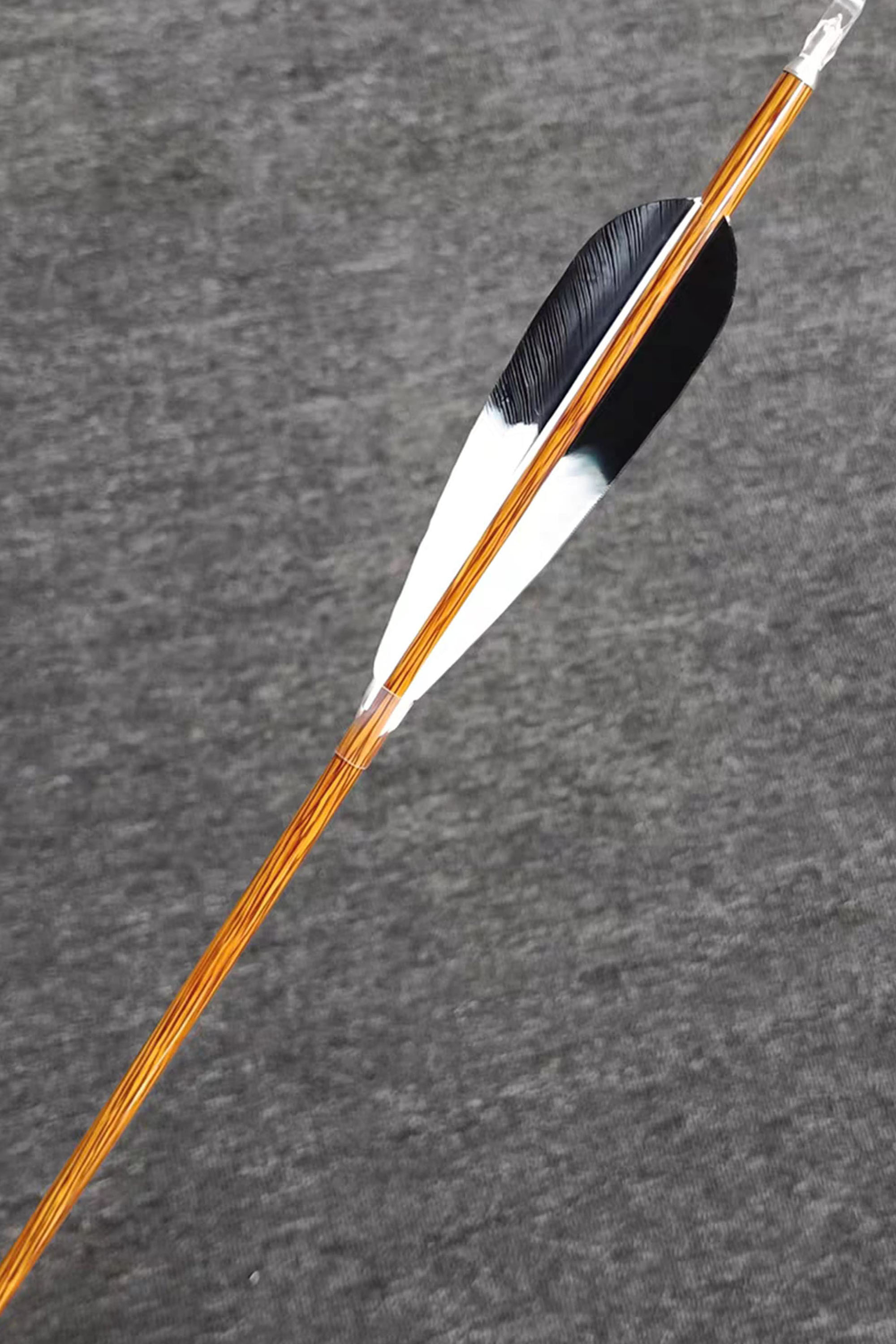 Zhan Ge Carbon Arrow Turkey feather Hunting Arrow Spine500-800