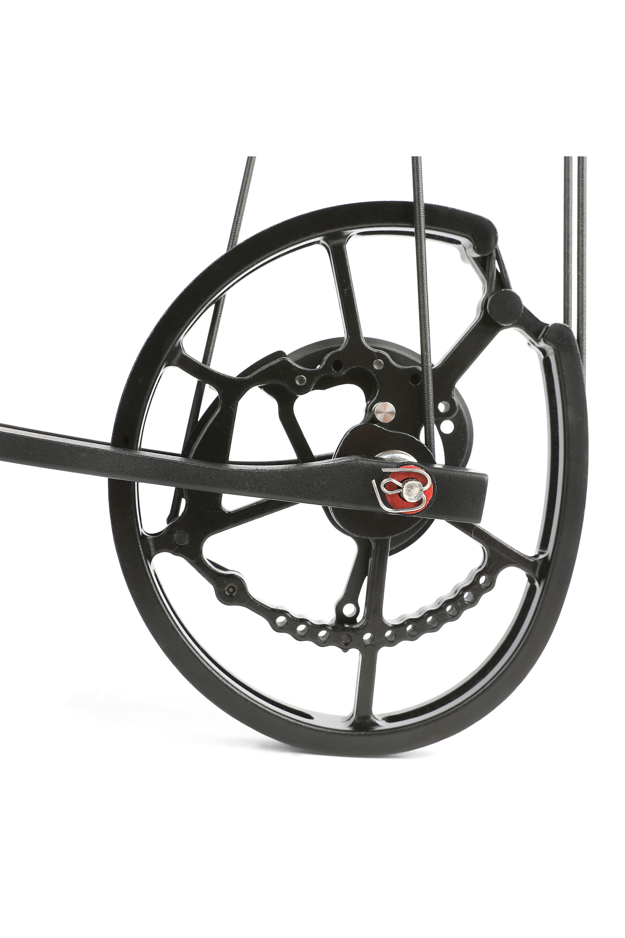 Night Hawk Dual-Use Compound Bow, 40–65 lbs, Black Ambidextrous Build