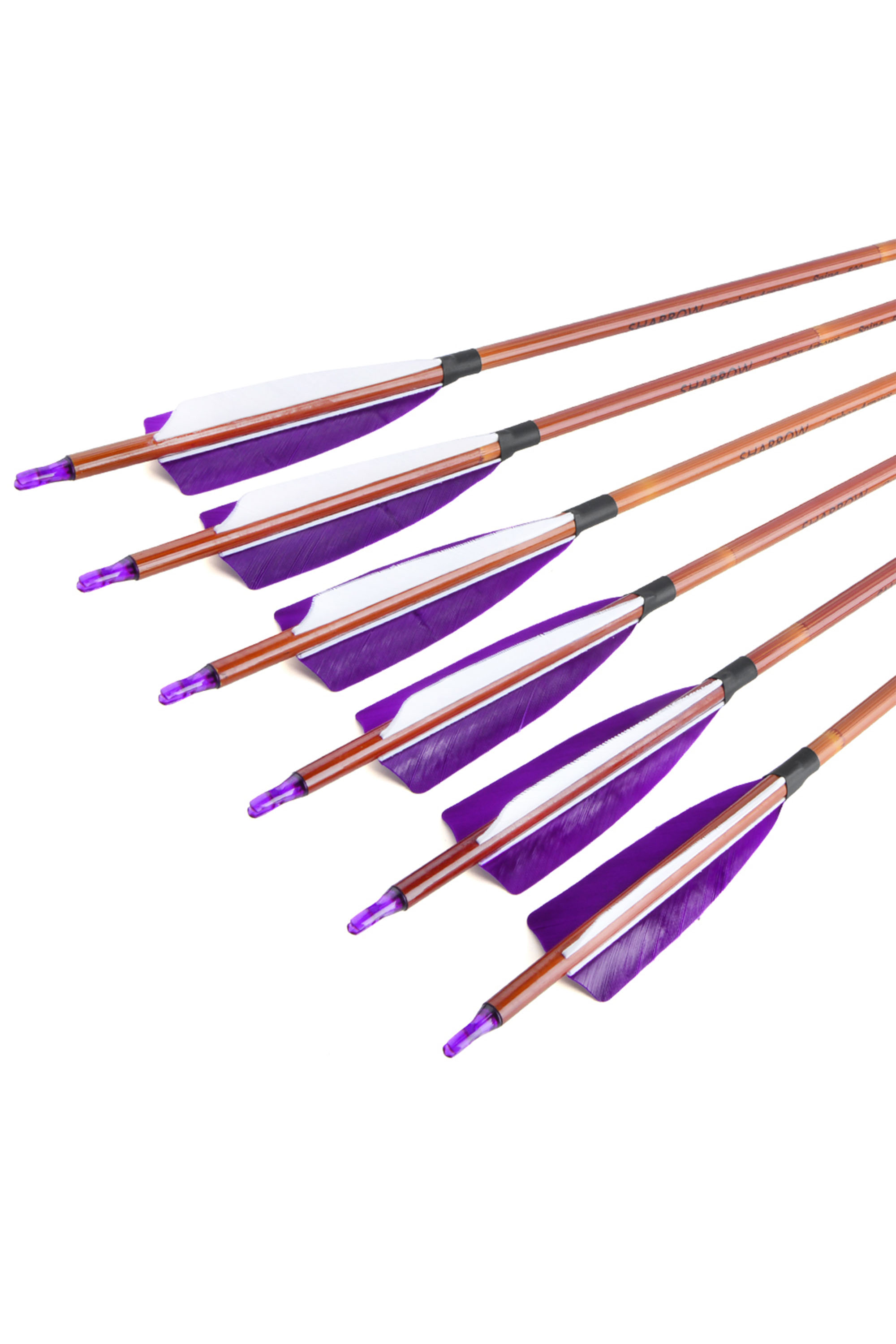 Mixed Carbon Arrows with Real Feather Fletching