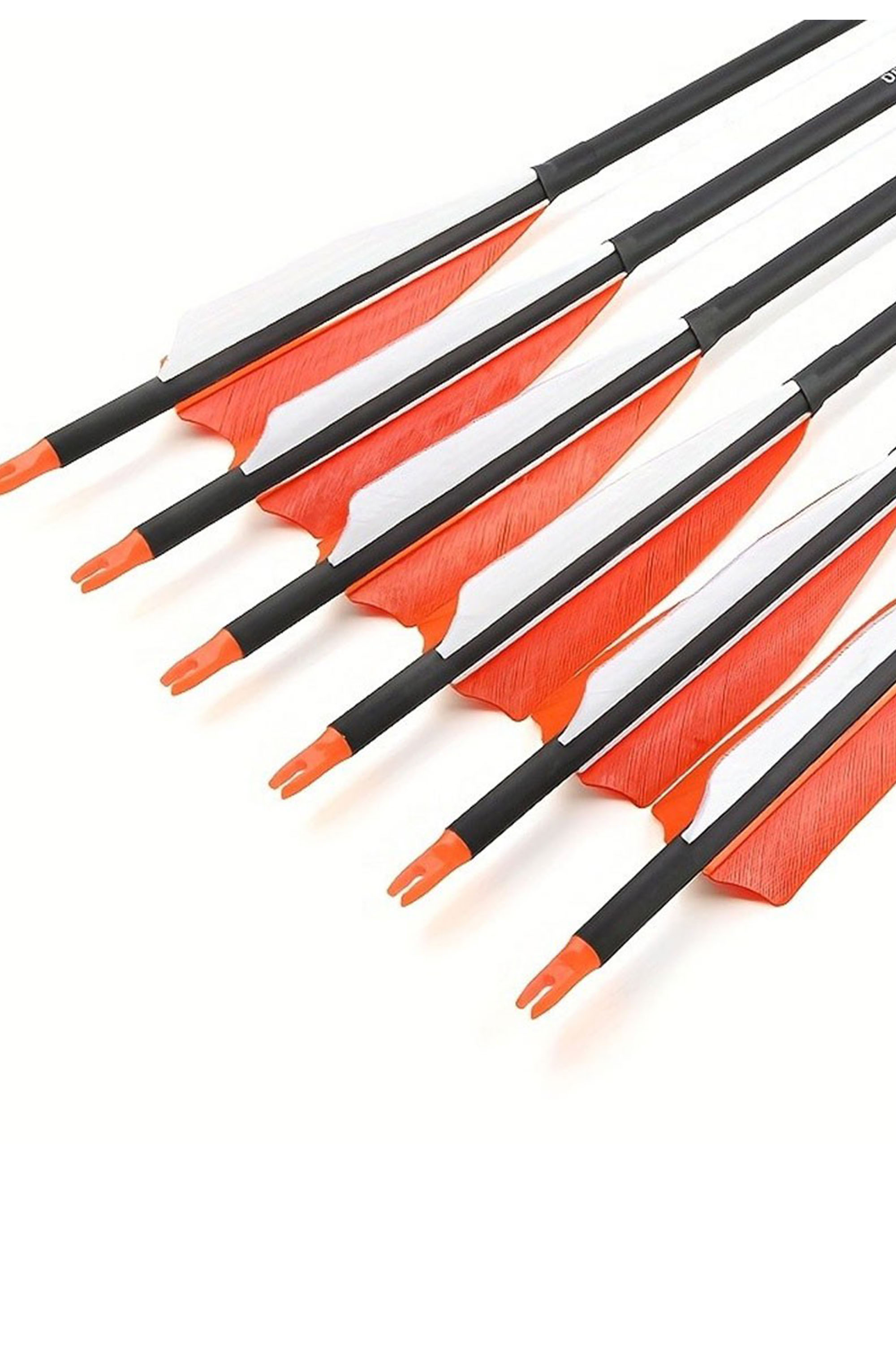 12x 30" Carbon Arrows Natural Feathers SP500 Archery Hunting