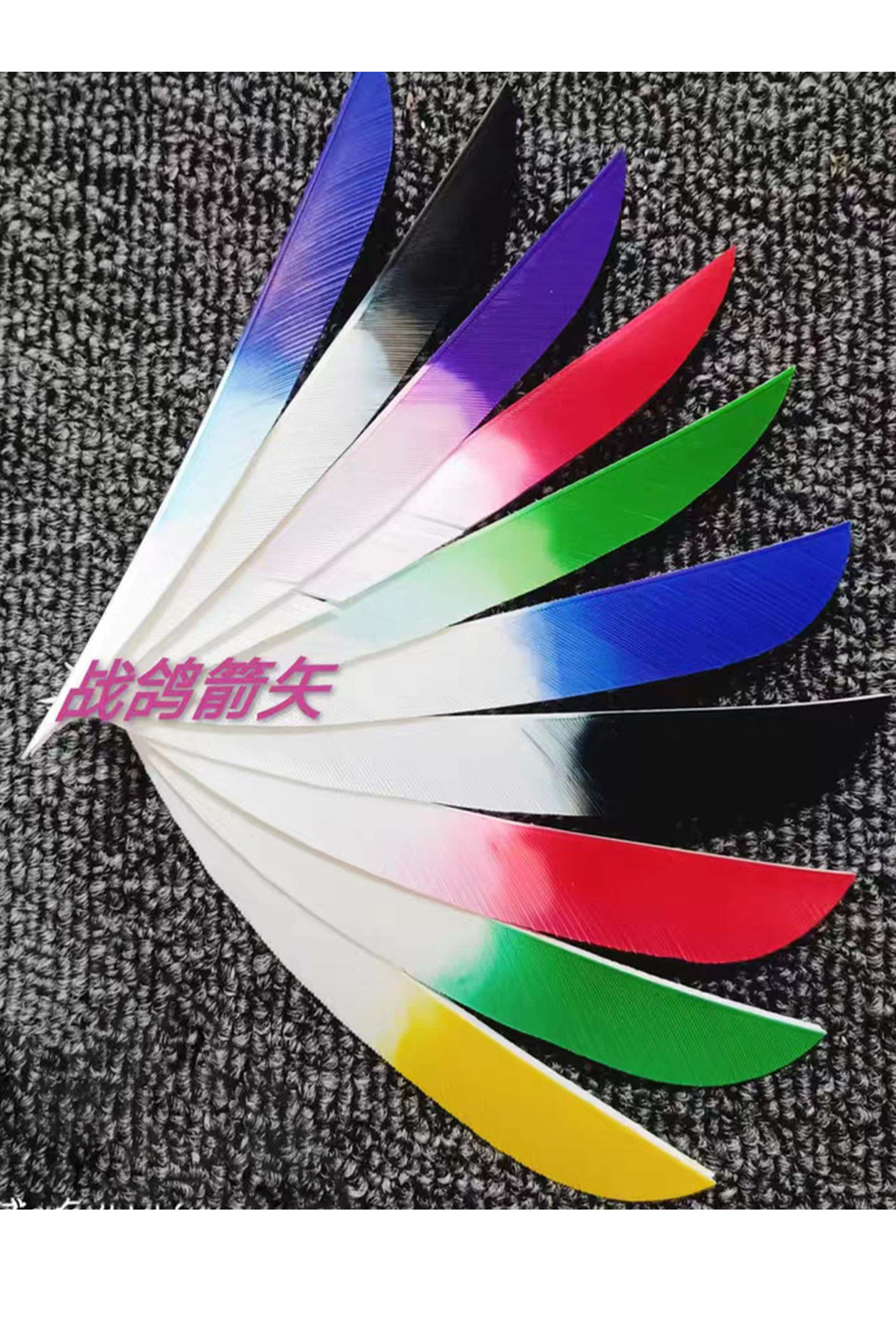 Zhan Ge Carbon Arrow Turkey feather Hunting Arrow Spine500-800