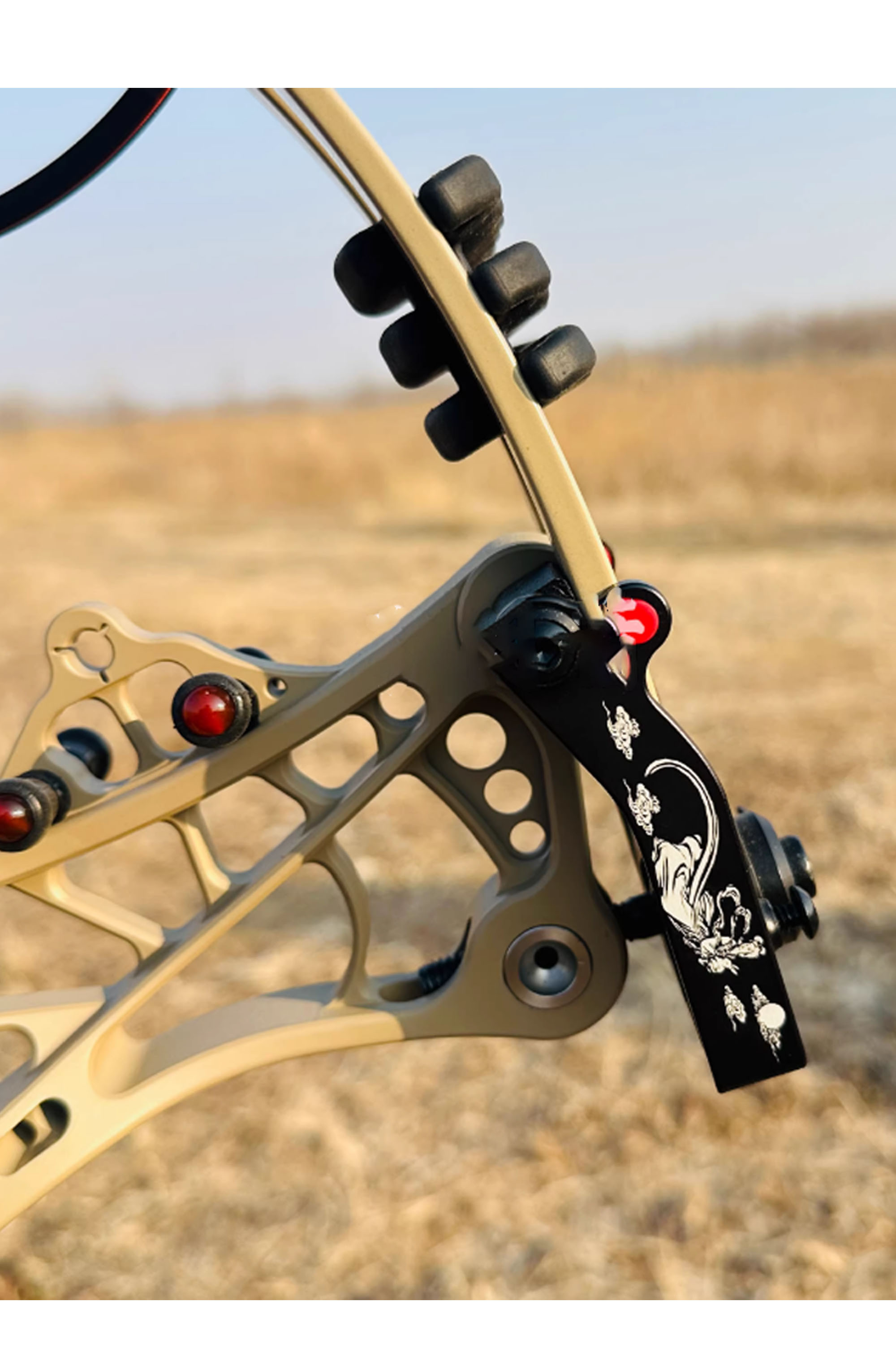 AGS 45-75lbs Compound Bow Hunting Archery Shooting