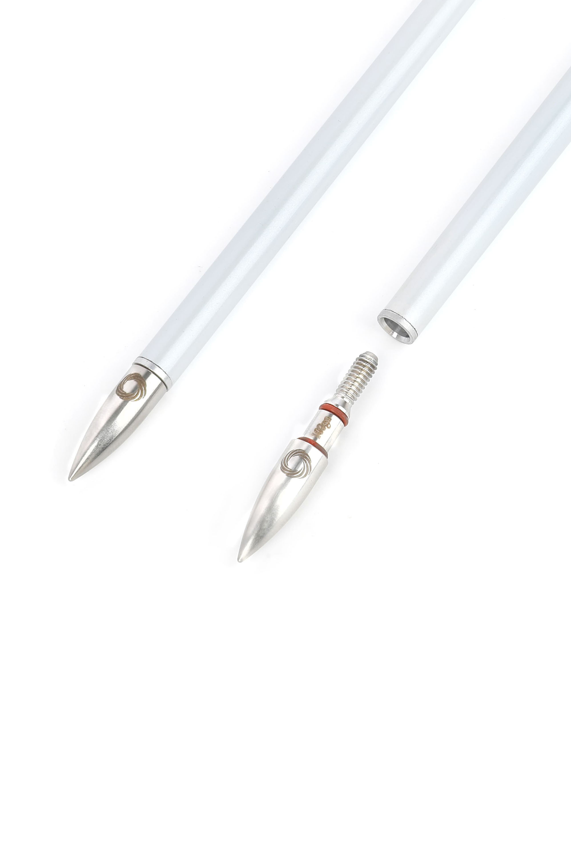 12x Arrowheads 100gr Archery Hunting Tips Recurve Compound Bow