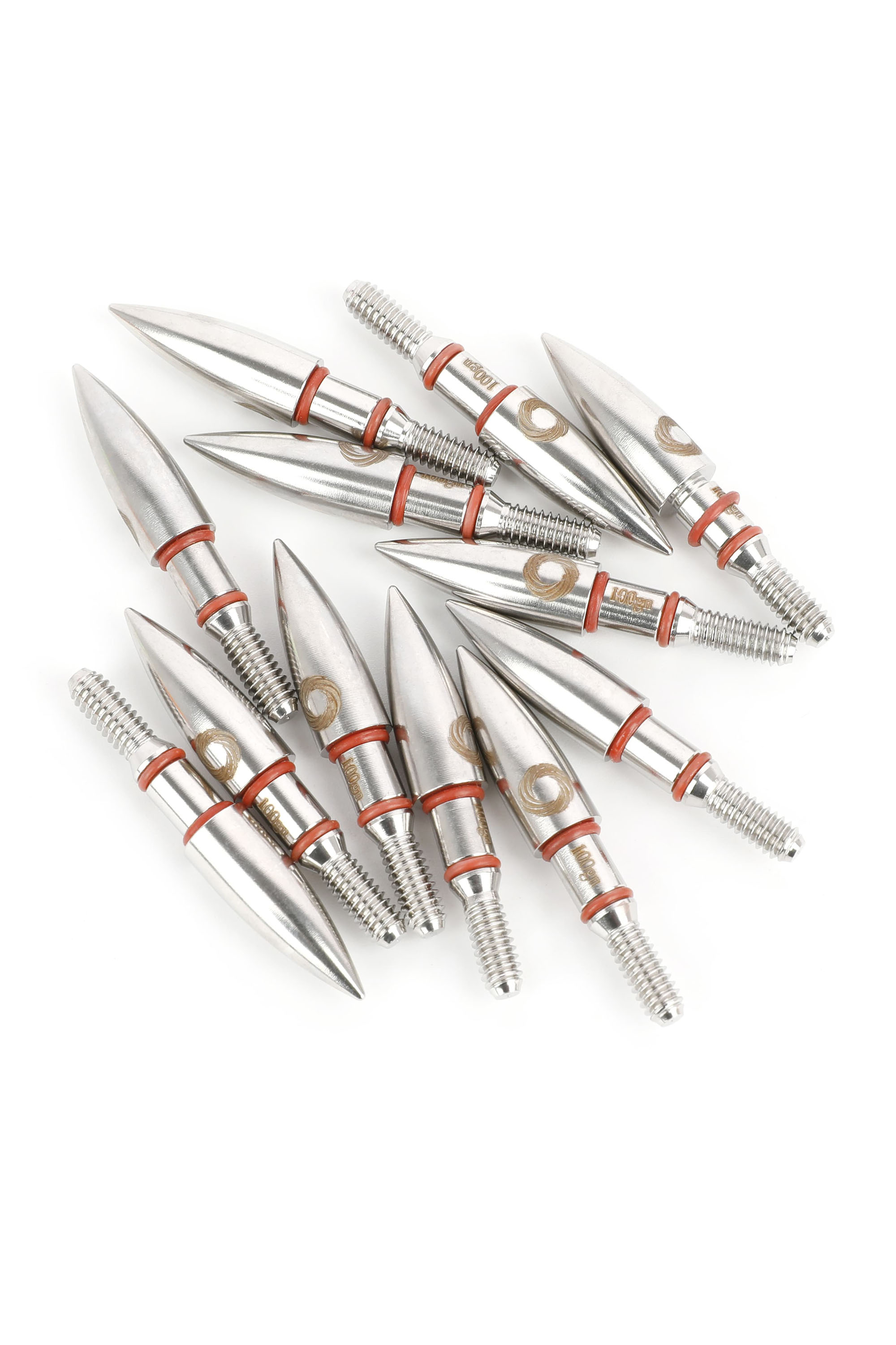 12x Arrowheads 100gr Archery Hunting Tips Recurve Compound Bow