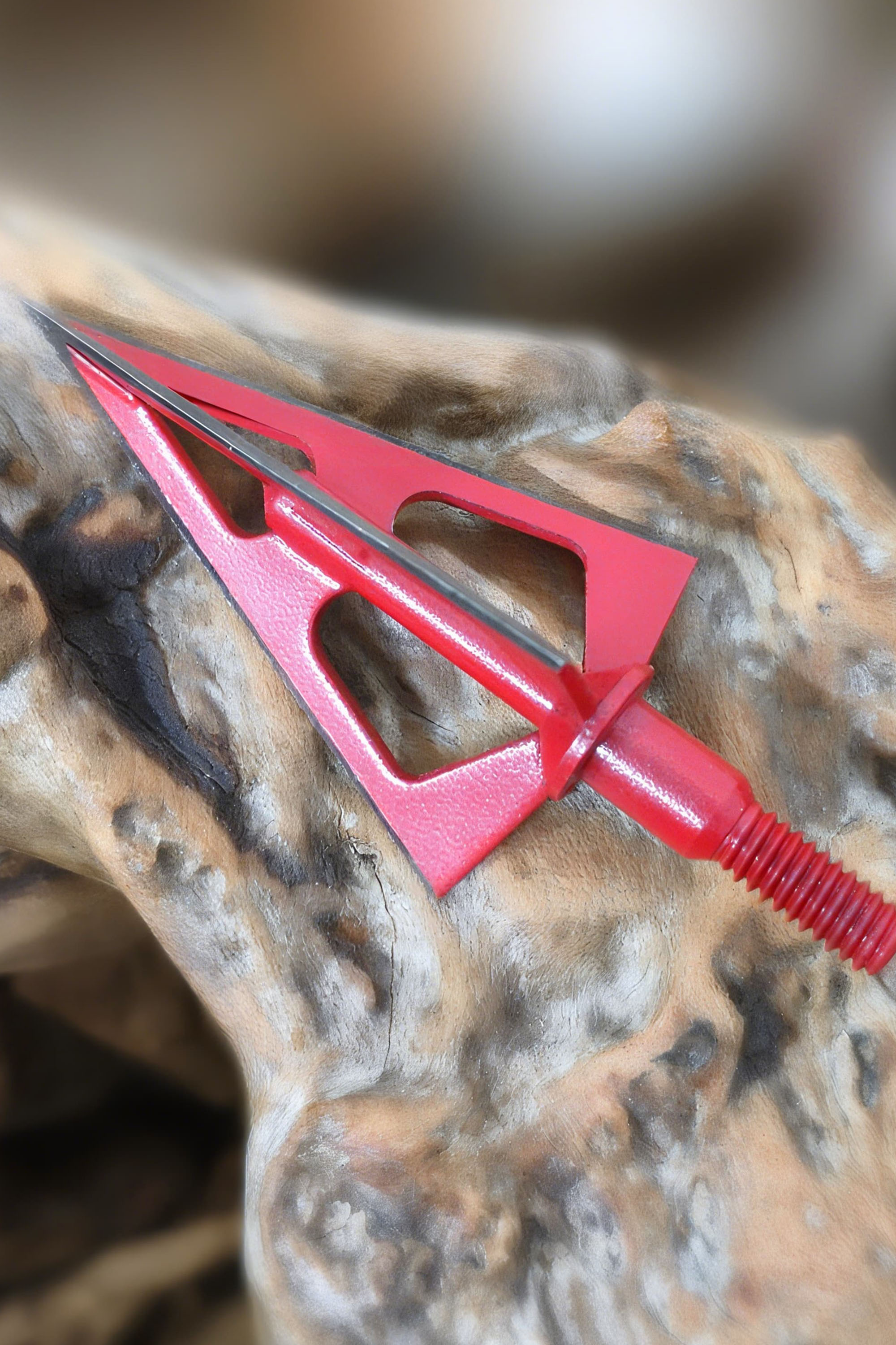 100 Grain Stainless Steel Hunting Broadheads for Compound Bows