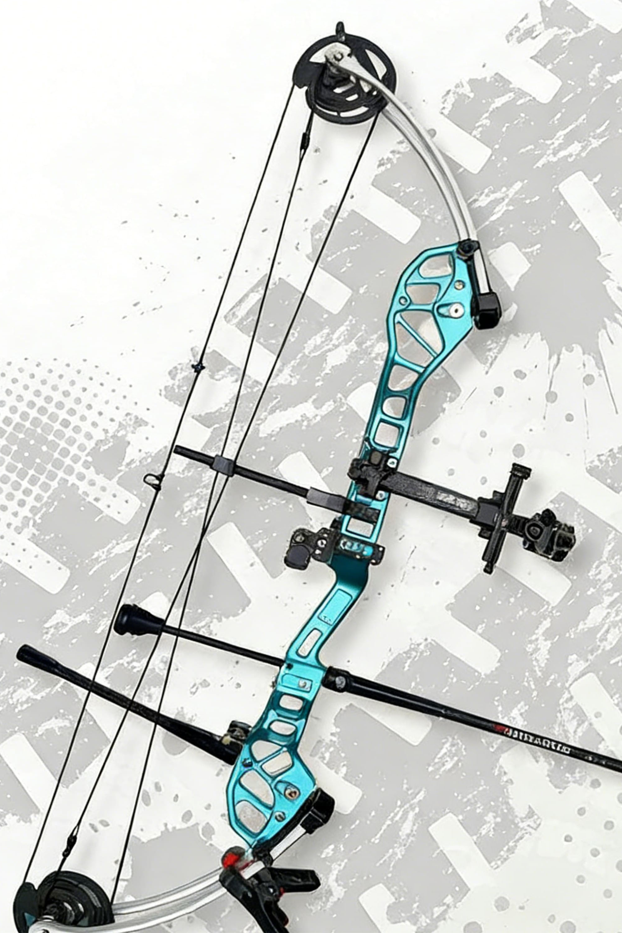 PANDARUS Compound Bow 30-45LBS Competitive Shooiting Archery
