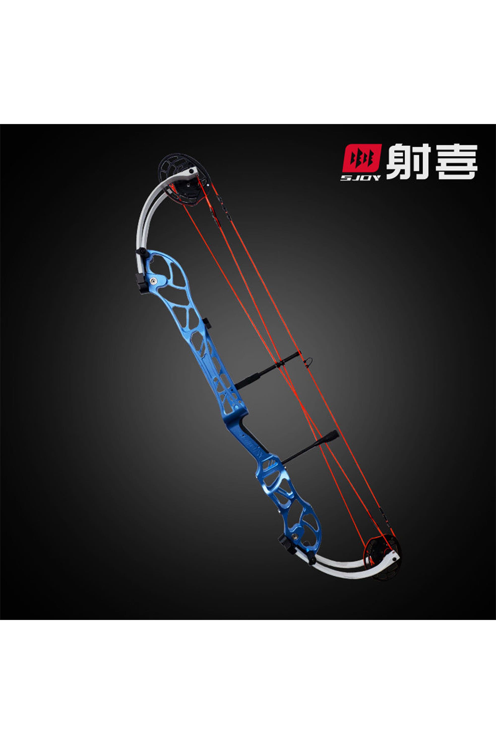 AGS Compound Bow Set 40-60LBS Archery Target Shooting RH LH