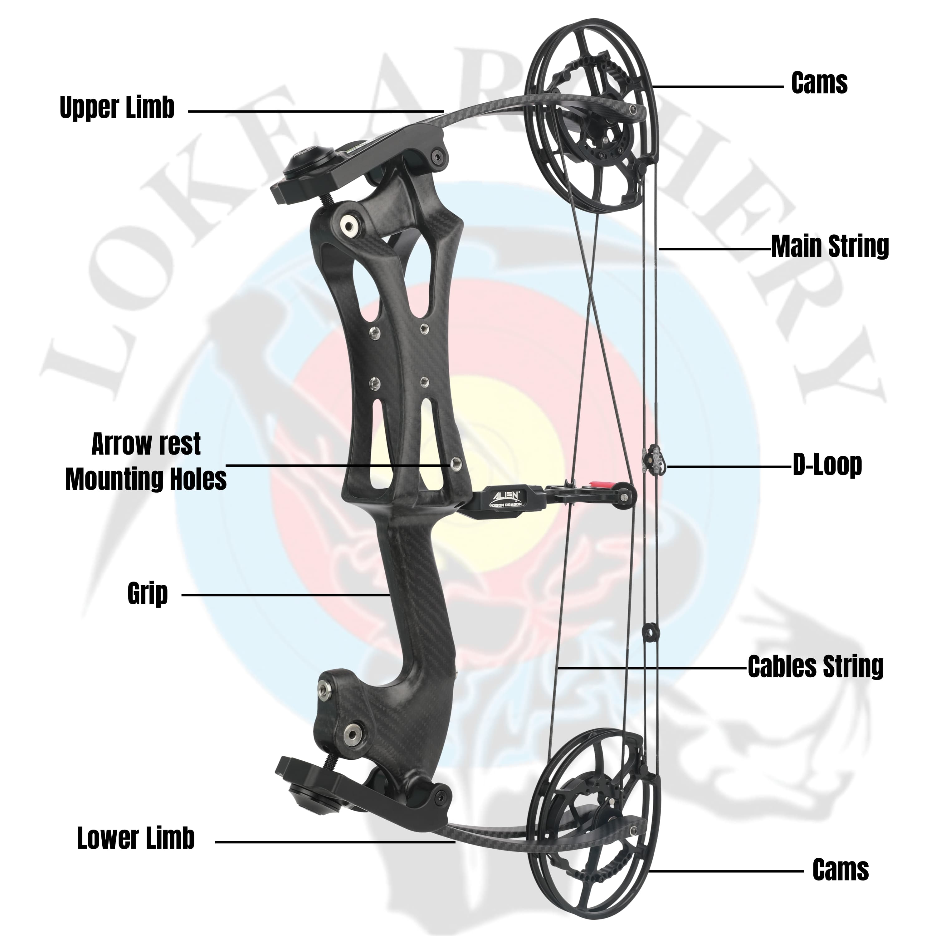 Carbon Fiber Compound Bow Set 30-70 lbs Adjustable