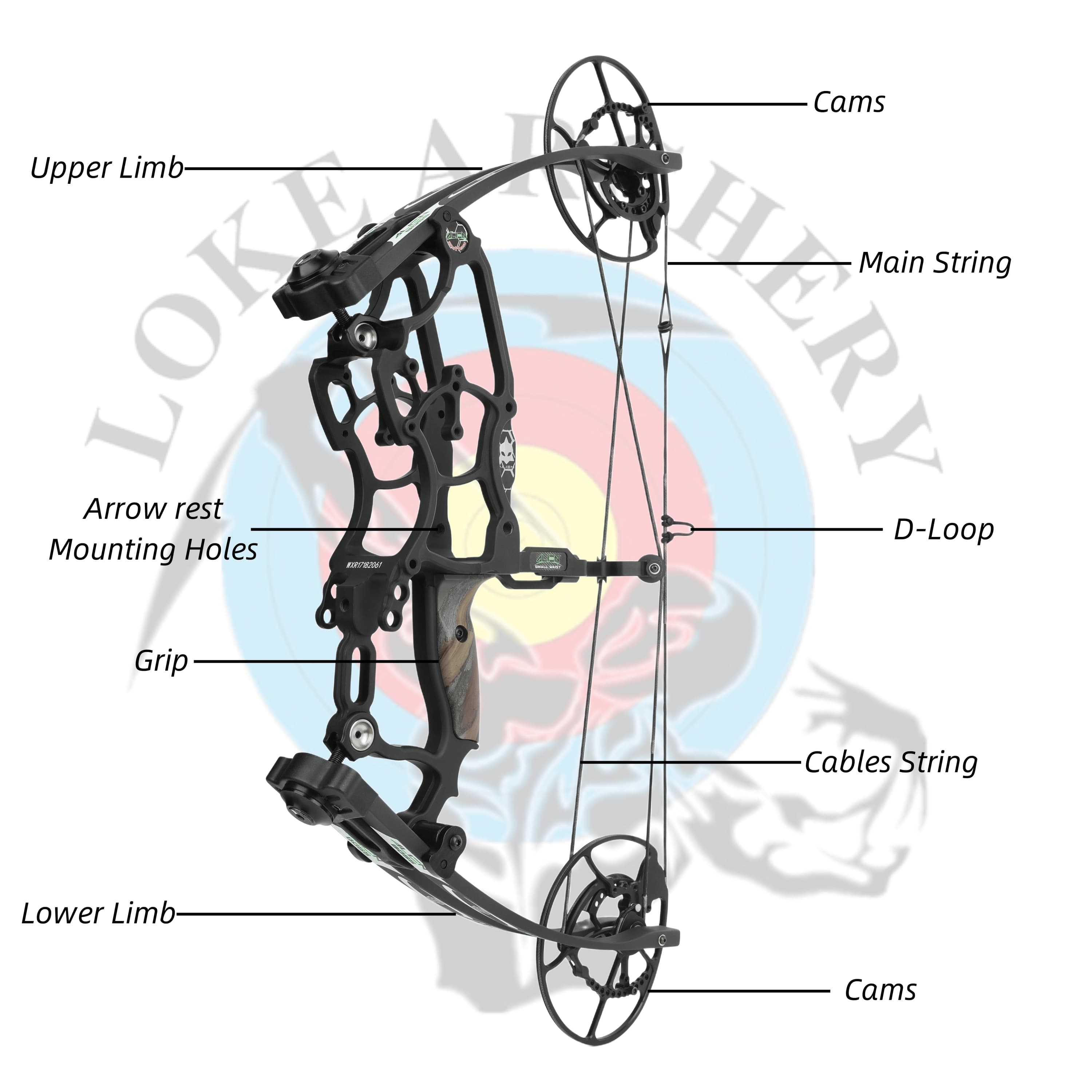 Draw Weight 30-70LBS Dual Use Compound Bow Set Shooting archery 