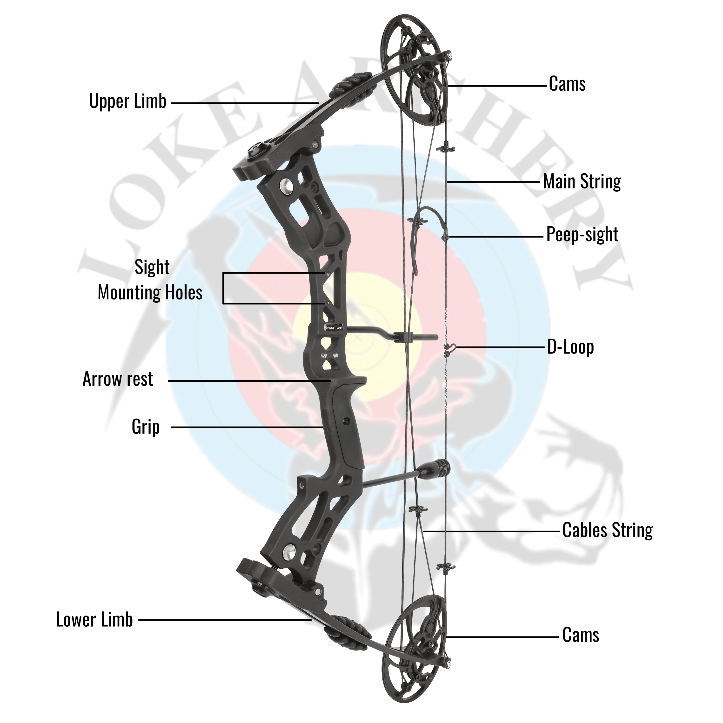 Compound Bow 30-70lbs Adjustable 75% Let-off Training Kit with 12 Arrows