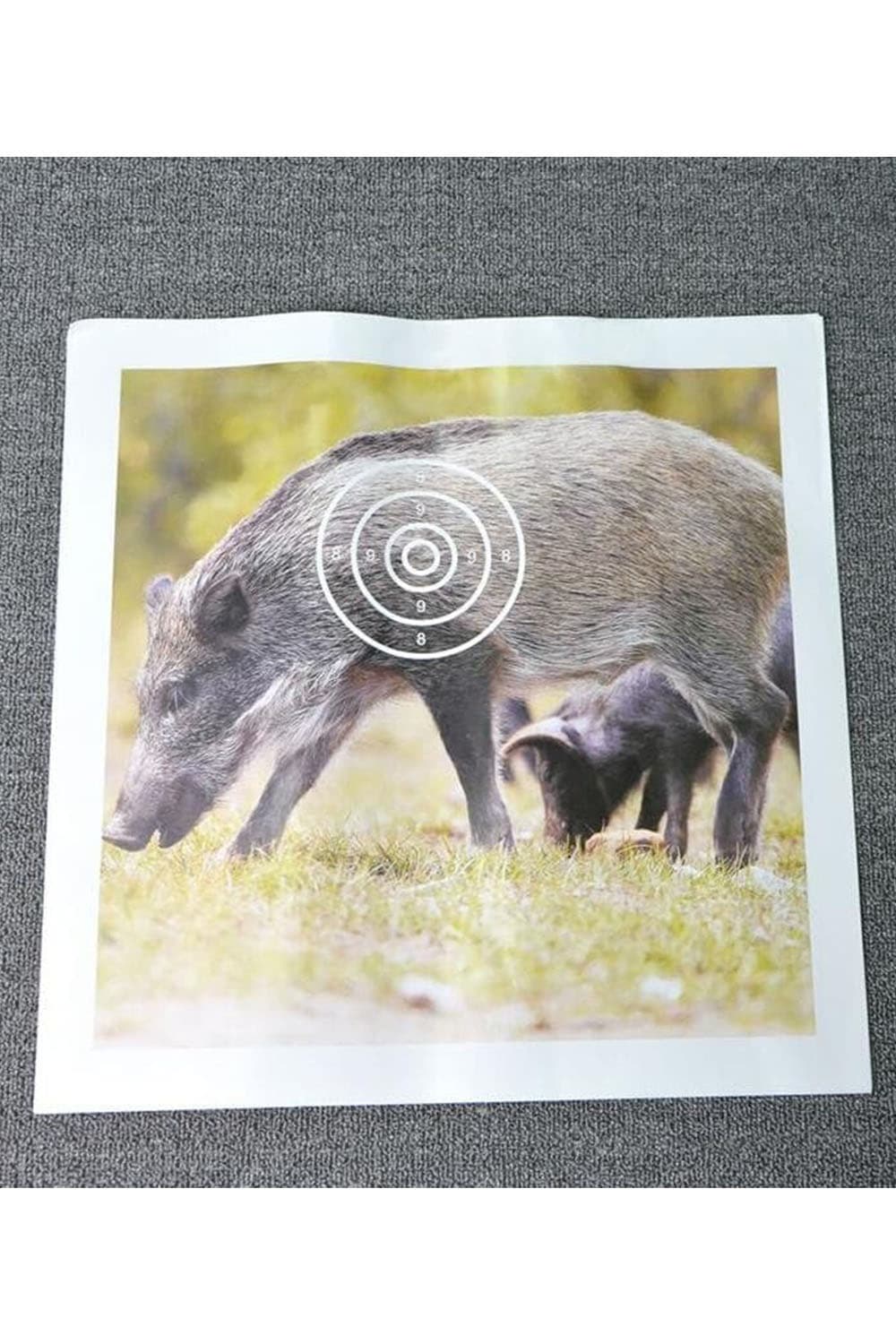 40x40cm Target Paper Shooting Archery Face Animal Field Face
