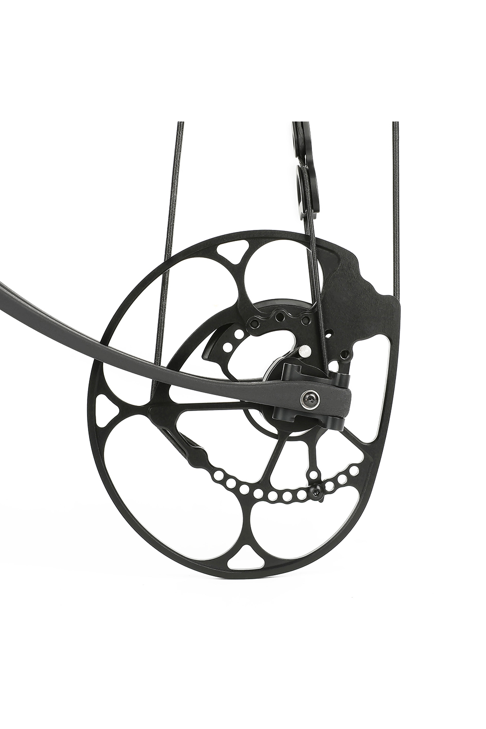 Alien Carbon Intrusion 40-75Lbs Compound Hunting Bow-Lokearchery