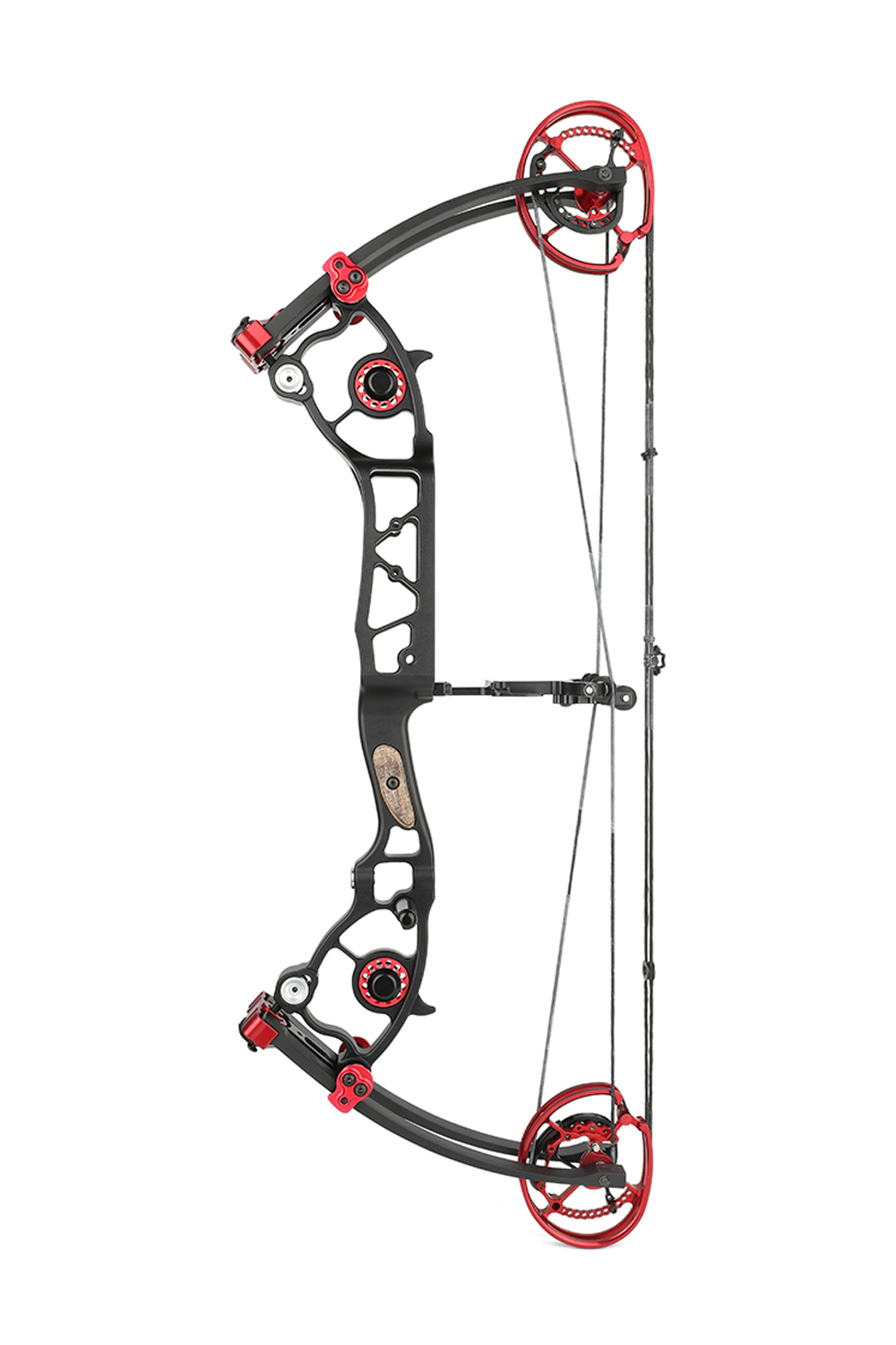 Toulu 45-70Lbs Hunting Dual Purpose Compound Bow-Lokearchery