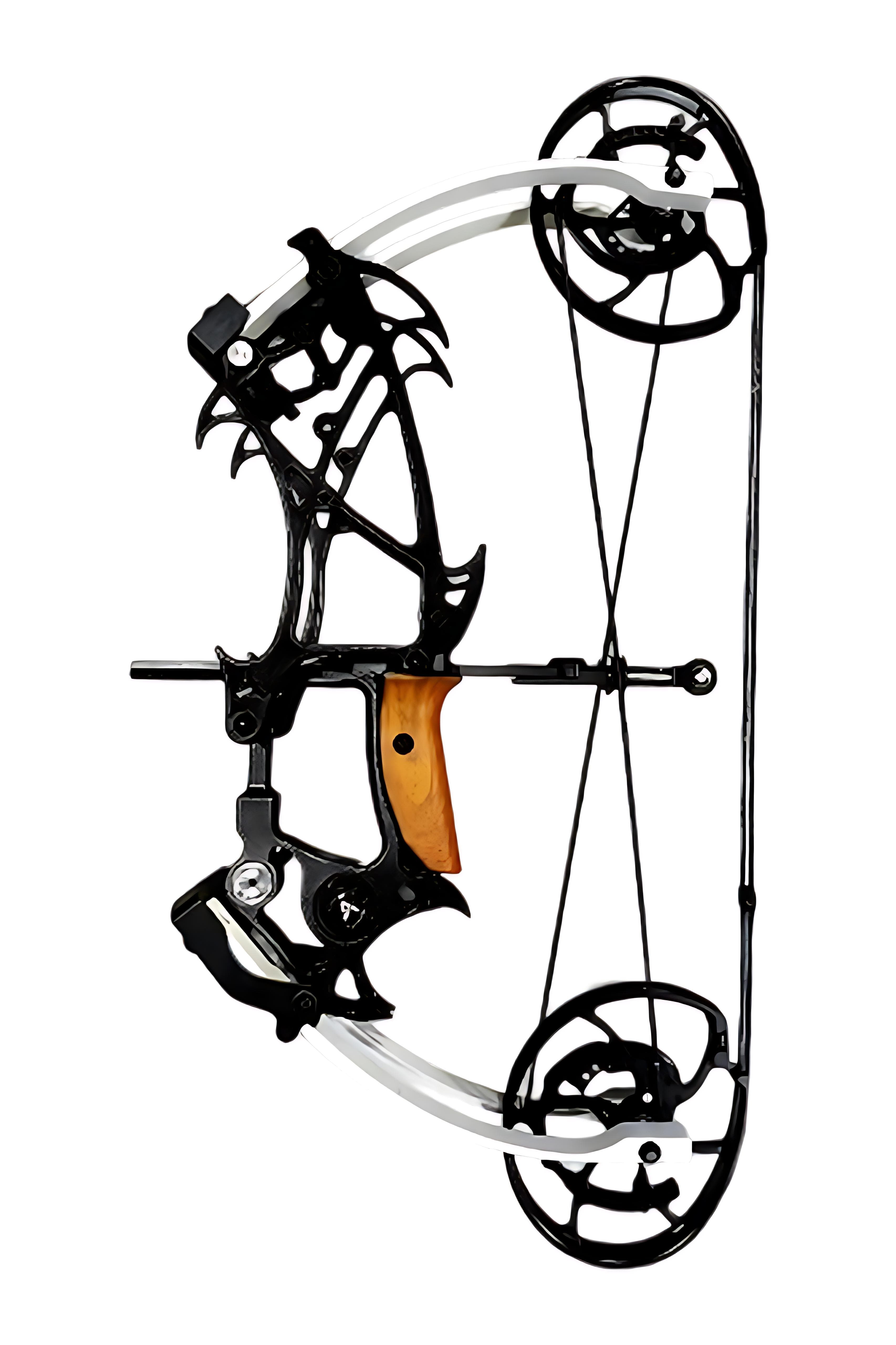 AGS Tusks 301 40-70Lbs Ball Bearing Dual-Purpose Compound Bow-Lokearchery