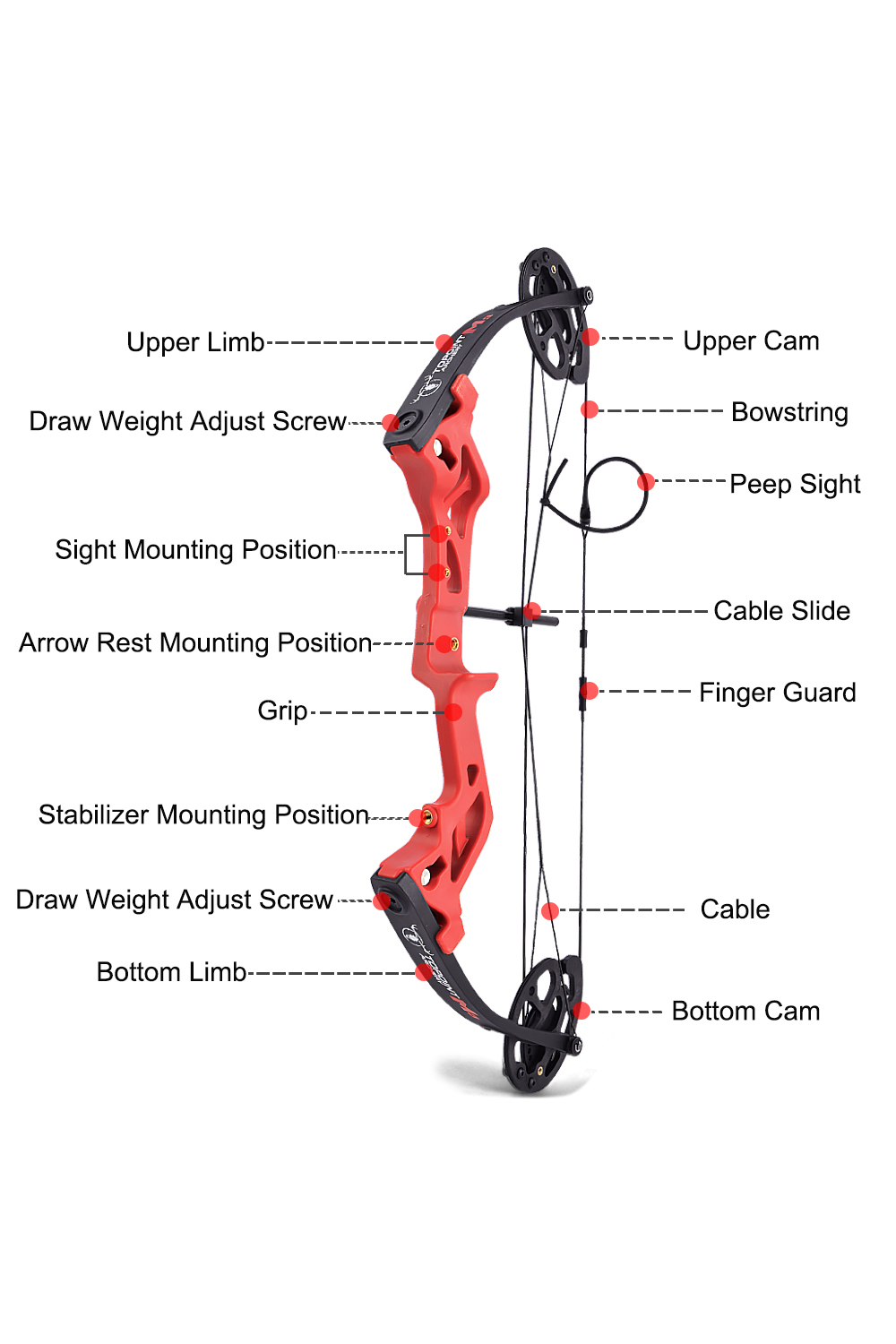 Topoint M3 10-30Lbs Youth Compound Bow-Lokearchery