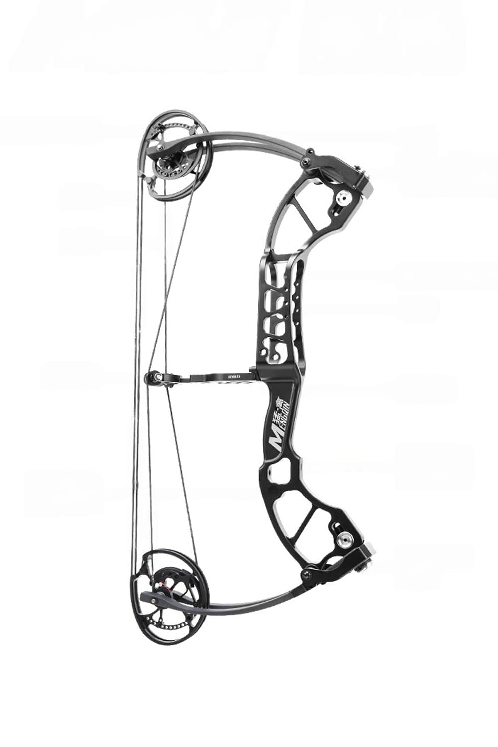 Raptor 45-70Lbs Compact Ball Bearing Compound Bow-Lokearchery