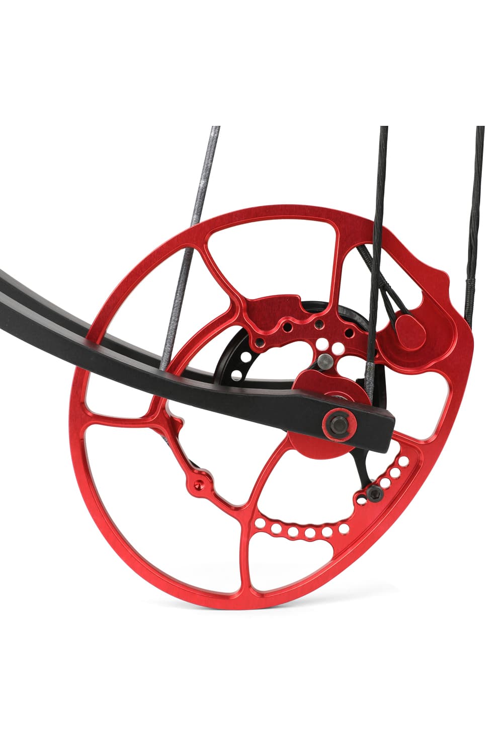 Toulu 45-70Lbs LH RH Archery Hunting Compound Bow-Lokearchery