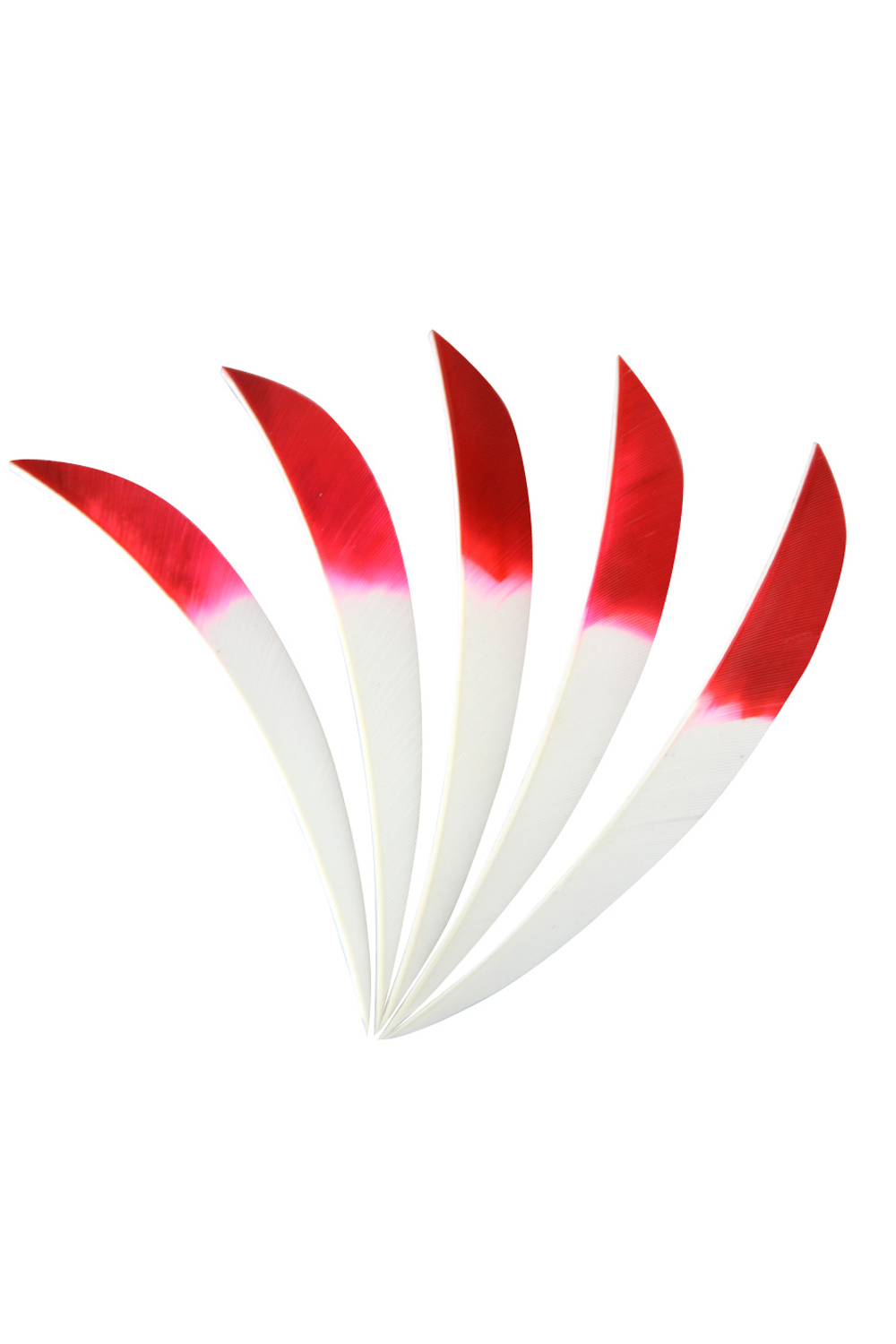 5" Dyed Real Feathers, Gradient Feathers For Archery-Lokearchery
