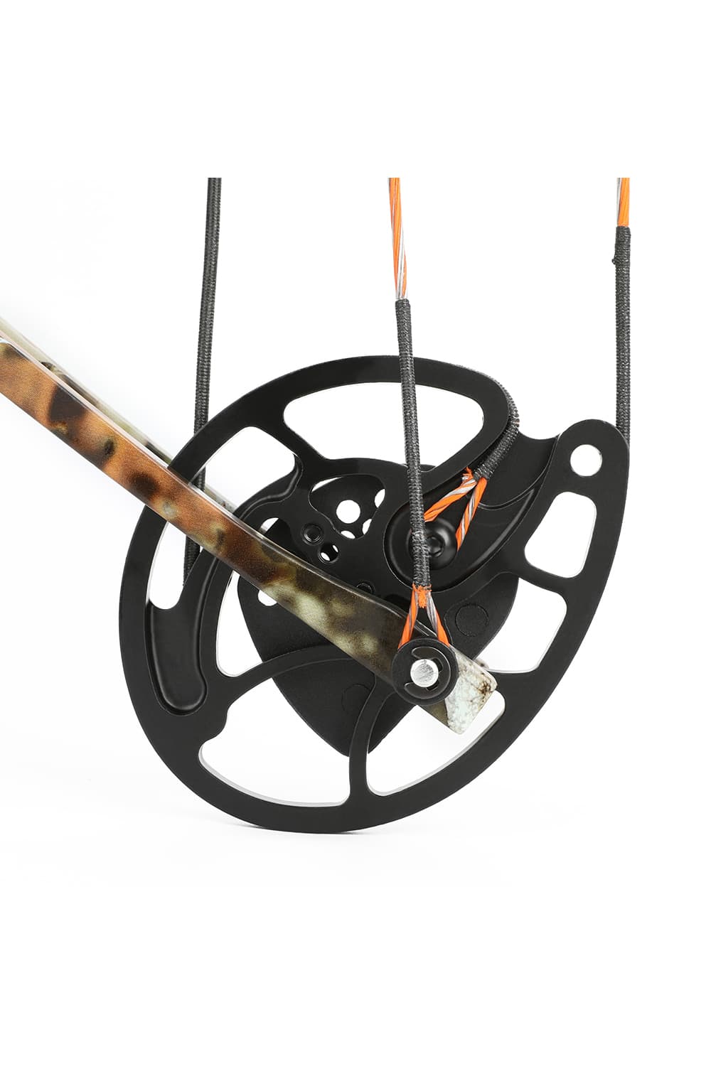 Junxing M121A 0-70Lbs Professional Hunting Training Compound Bow-Lokearchery