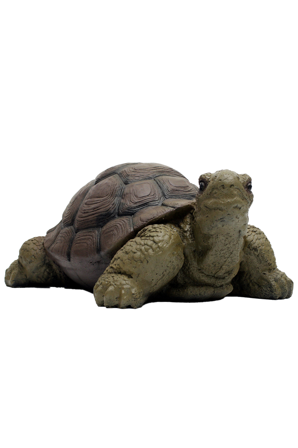 AMEYXGS 3D Turtle Hunting Target Taxidermy-Lokearchery