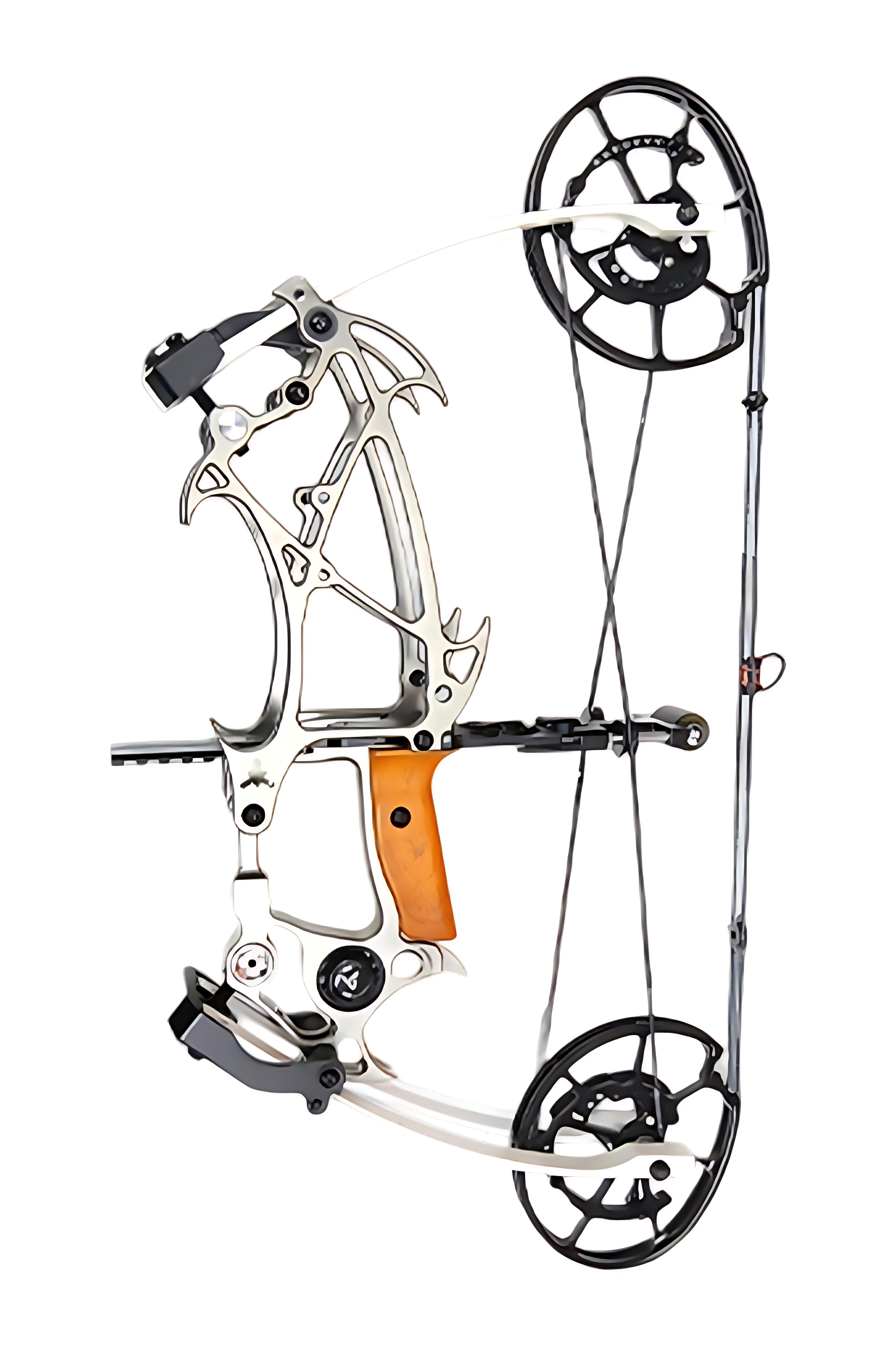 AGS Tusks 301 40-70Lbs Ball Bearing Dual-Purpose Compound Bow-Lokearchery