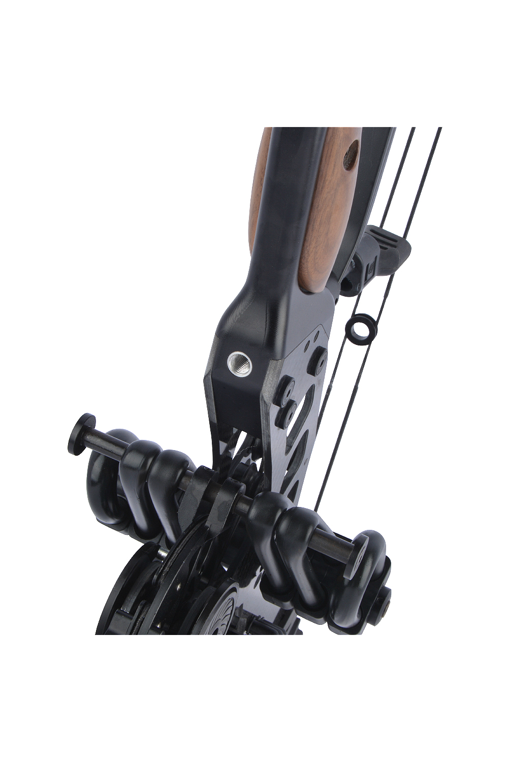 Raptor 21.5-60Lbs Hunting Dual-Purpose Compound Bow-Lokearchery