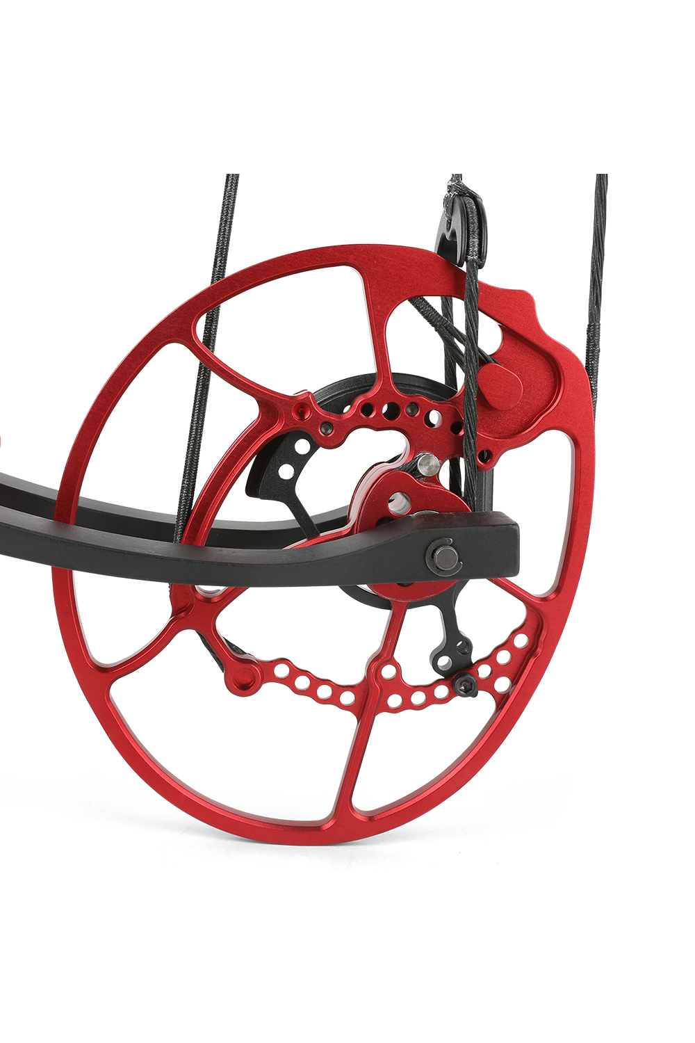 Tuolu Venom 60-75Lbs CNC Archery Hunting Compound Bow Set