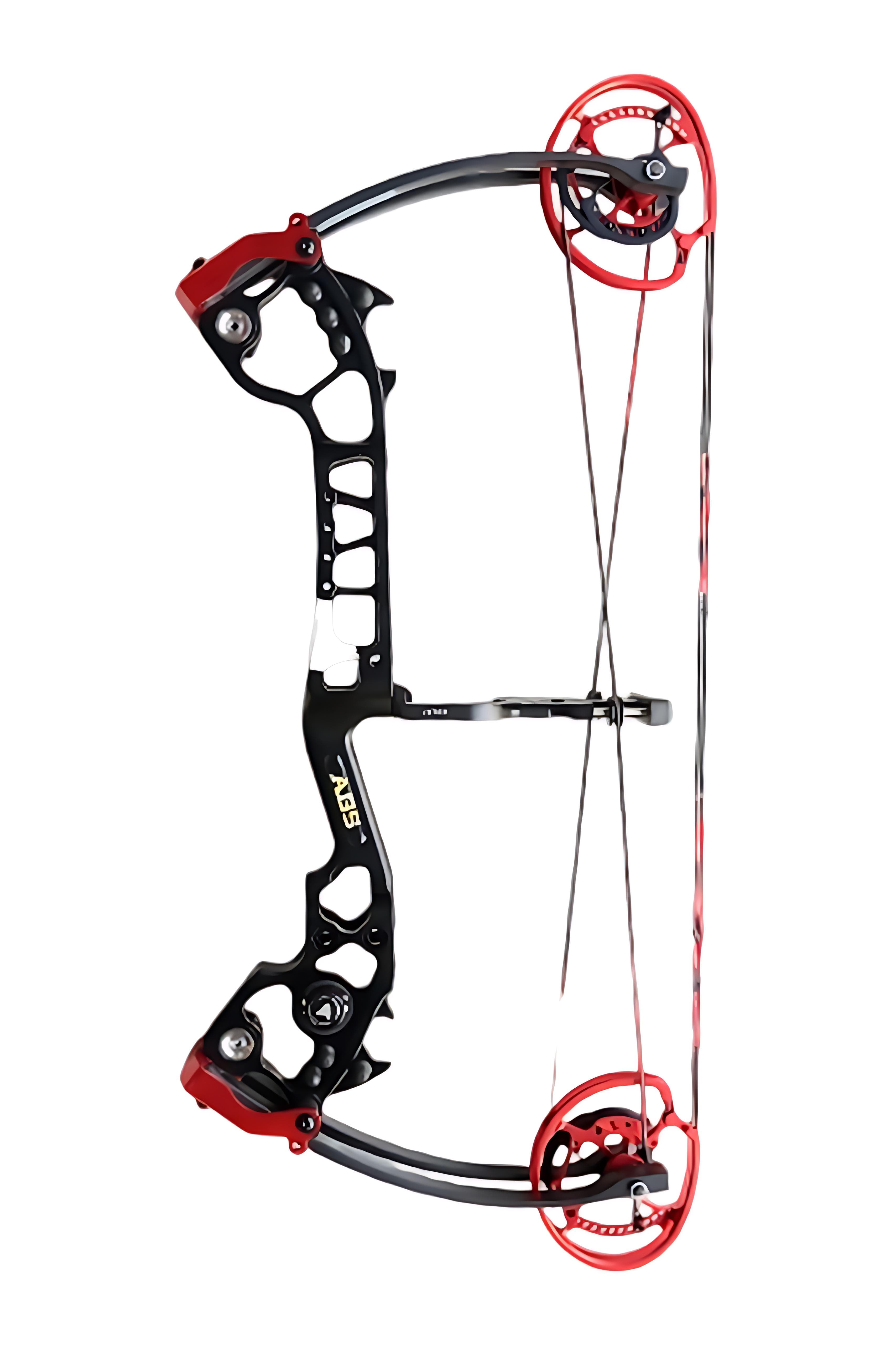 AGS S1 40-70Lbs Hunting Dual-Purpose Compound Bow-Lokearchery