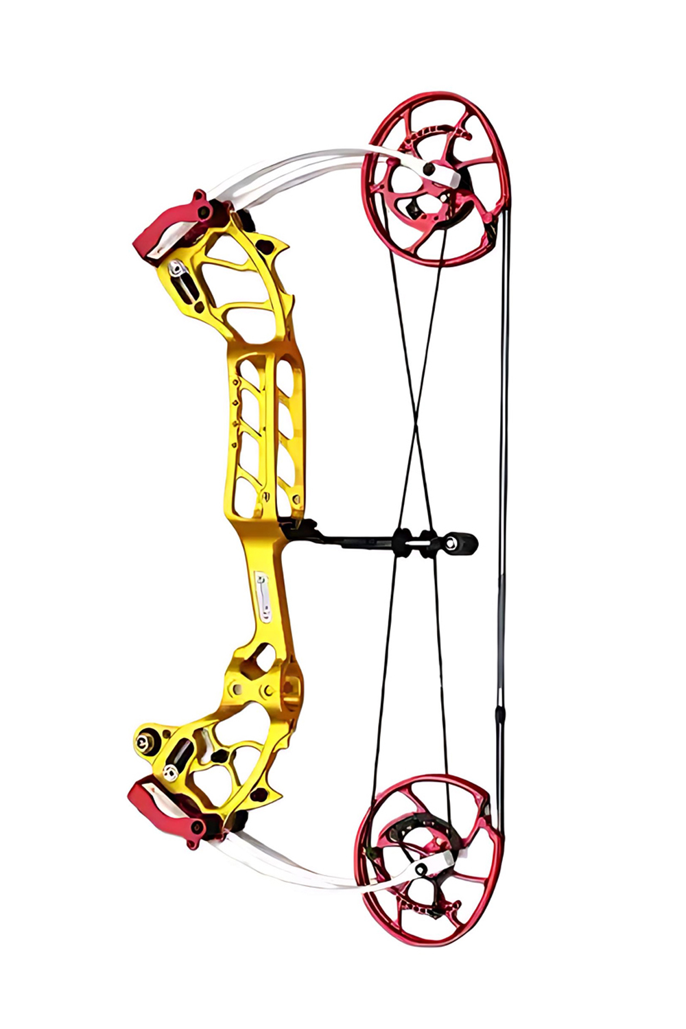 AGS 63X Pro 0-80Lbs Hunting Dual-Purpose Bow Compound Bow-Lokearchery