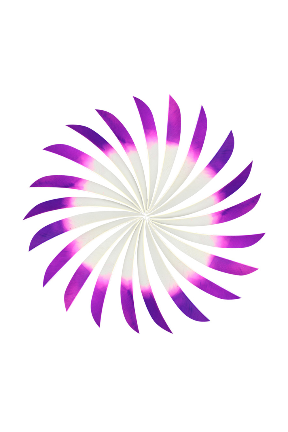 5" Dyed Real Feathers, Gradient Feathers For Archery-Lokearchery