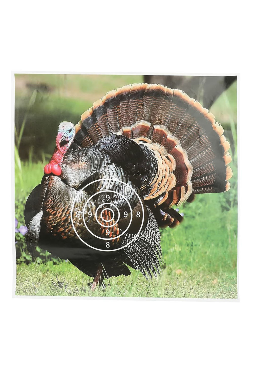 40x40cm Target Paper Shooting Archery Face Animal Field Face
