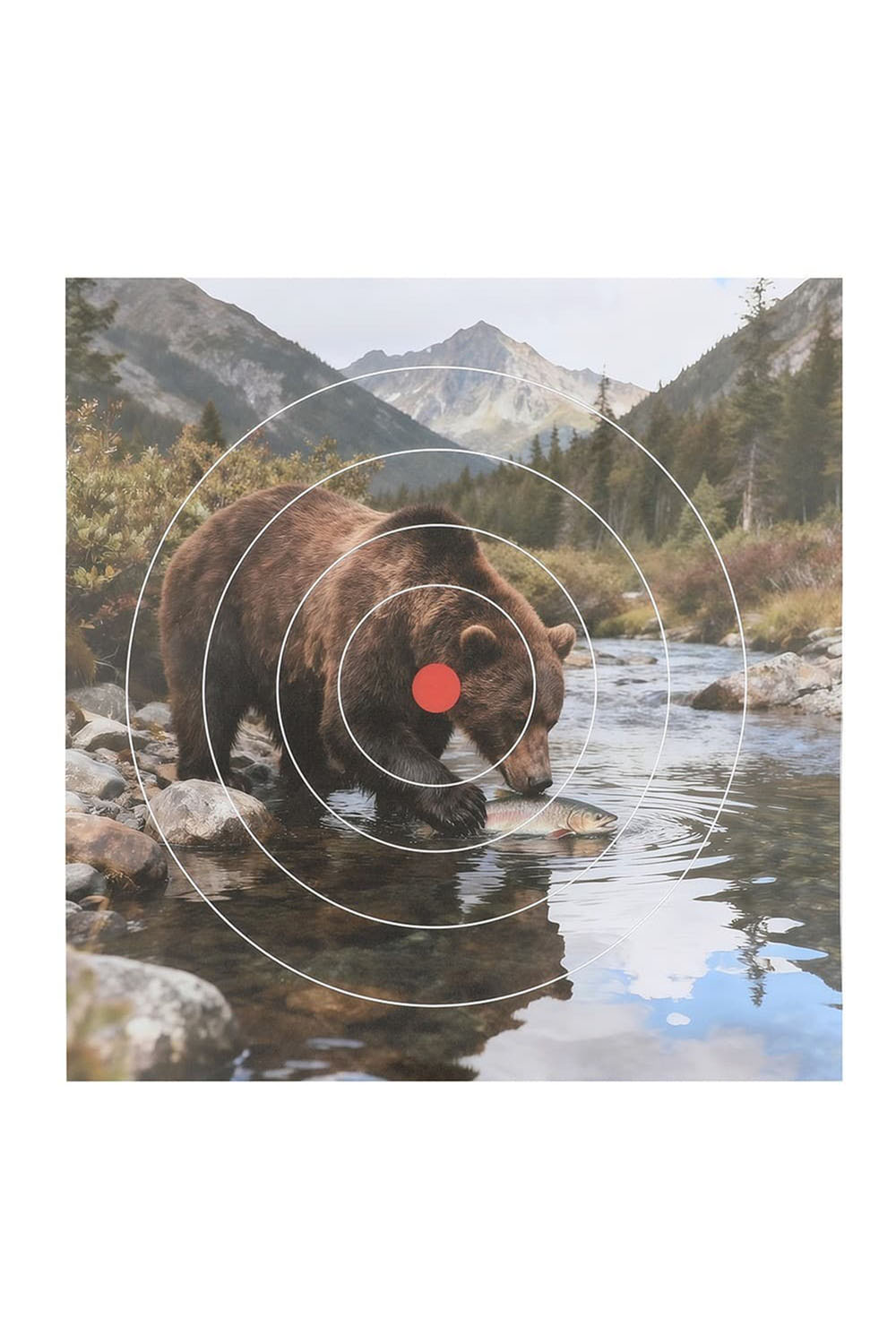 40x40cm Target Paper Shooting Archery Face Animal Field Face