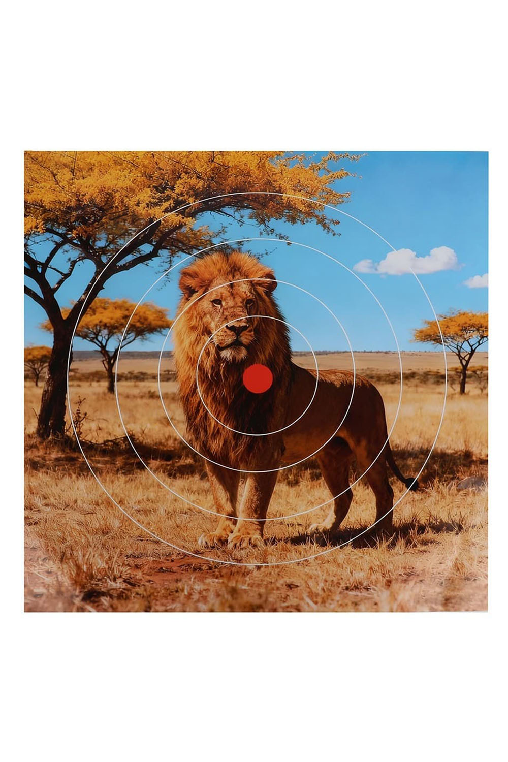 40x40cm Target Paper Shooting Archery Face Animal Field Face