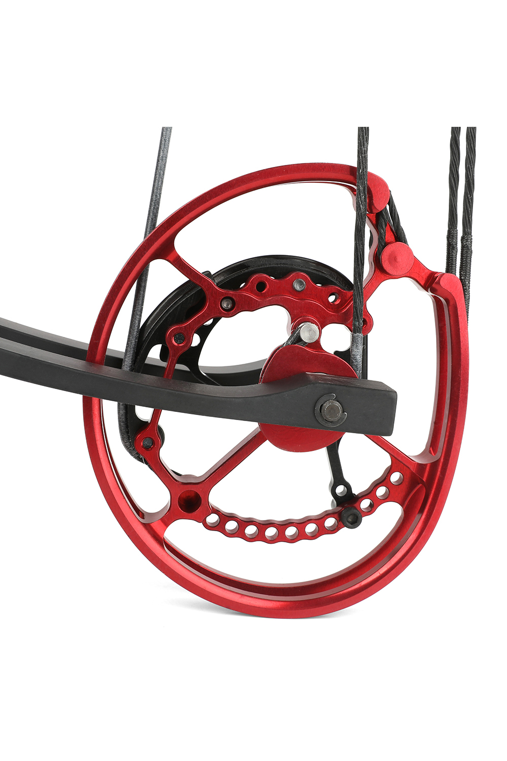 Toulu 45-70Lbs Hunting Dual-Purpose Compound Bow Set-Lokearchery