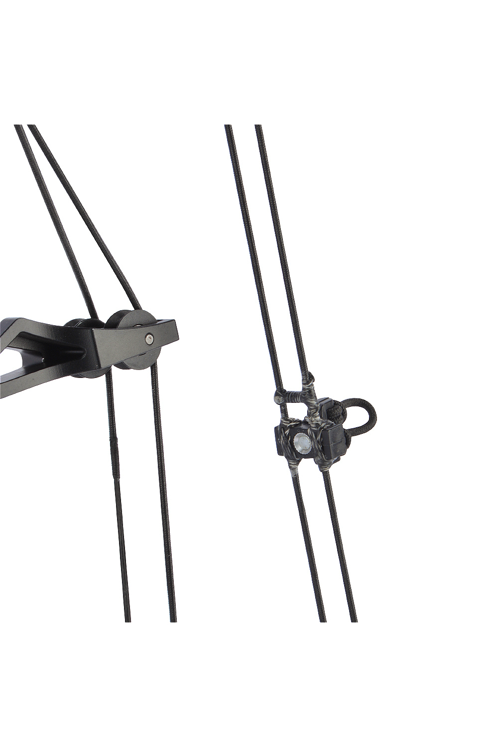 Raptor 21.5-60Lbs Hunting Dual-Purpose Compound Bow-Lokearchery