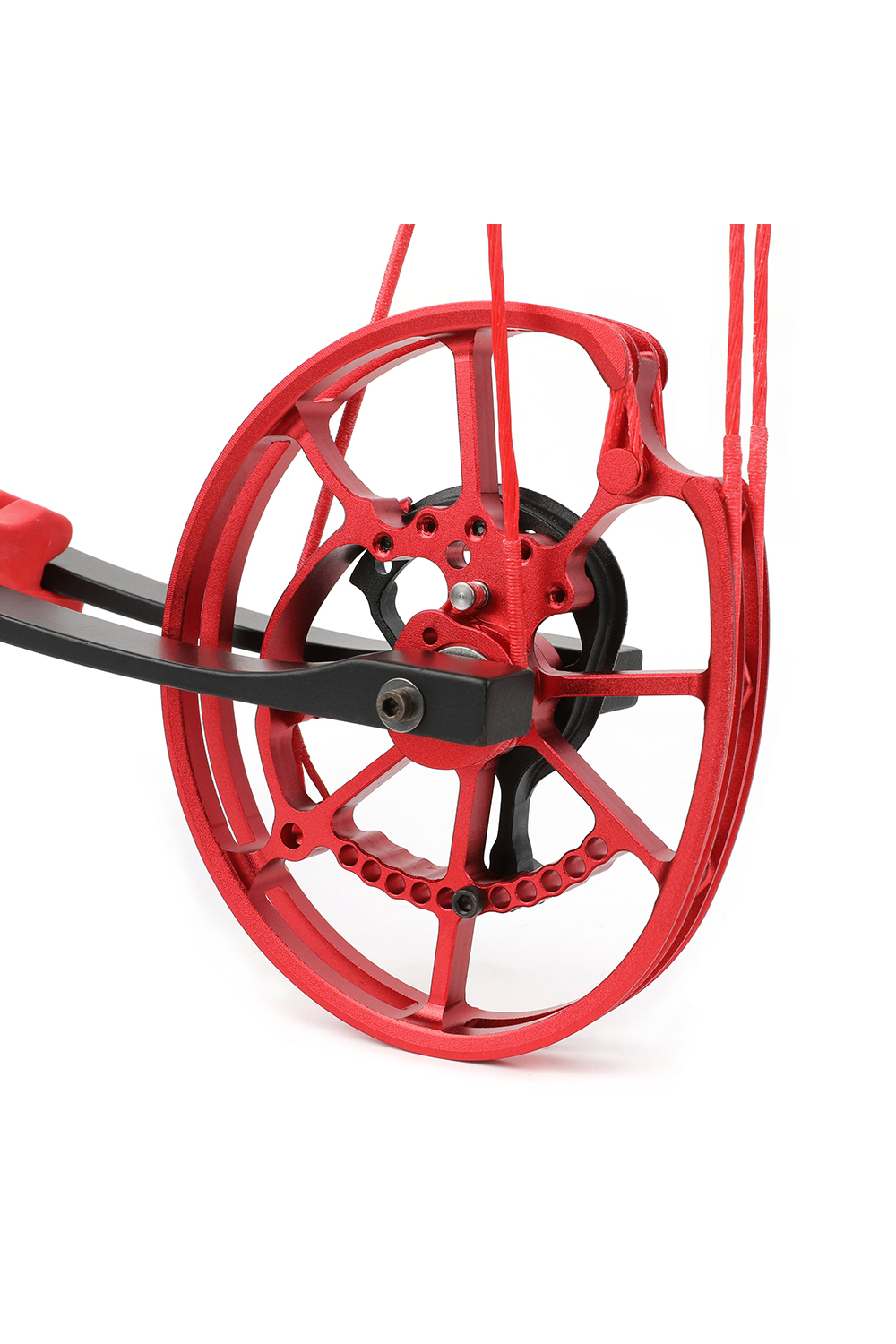 Ameyxgs 30-70Lbs CNC Ball Bearing Dual-Purpose Compound Bow