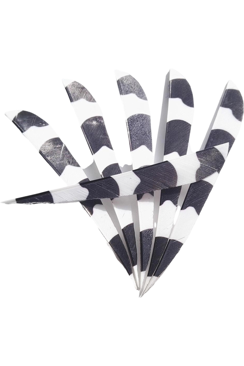 Lokearchery 5 inch Snake Pattern Arrow Feathers for Hunting and Target