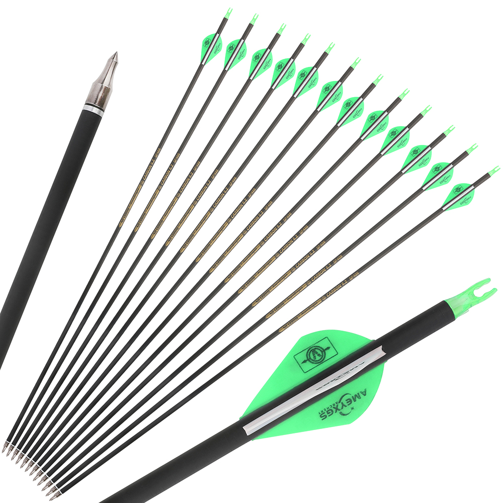30 in Carbon Arrows 12pcs 500 Spine Value Set