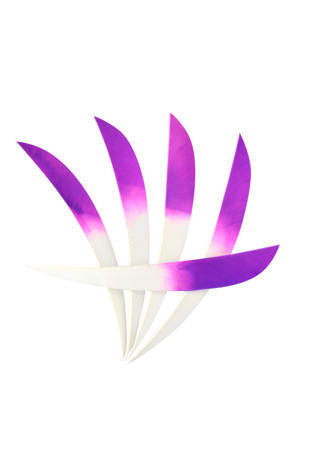 5" Dyed Real Feathers, Gradient Feathers For Archery-Lokearchery