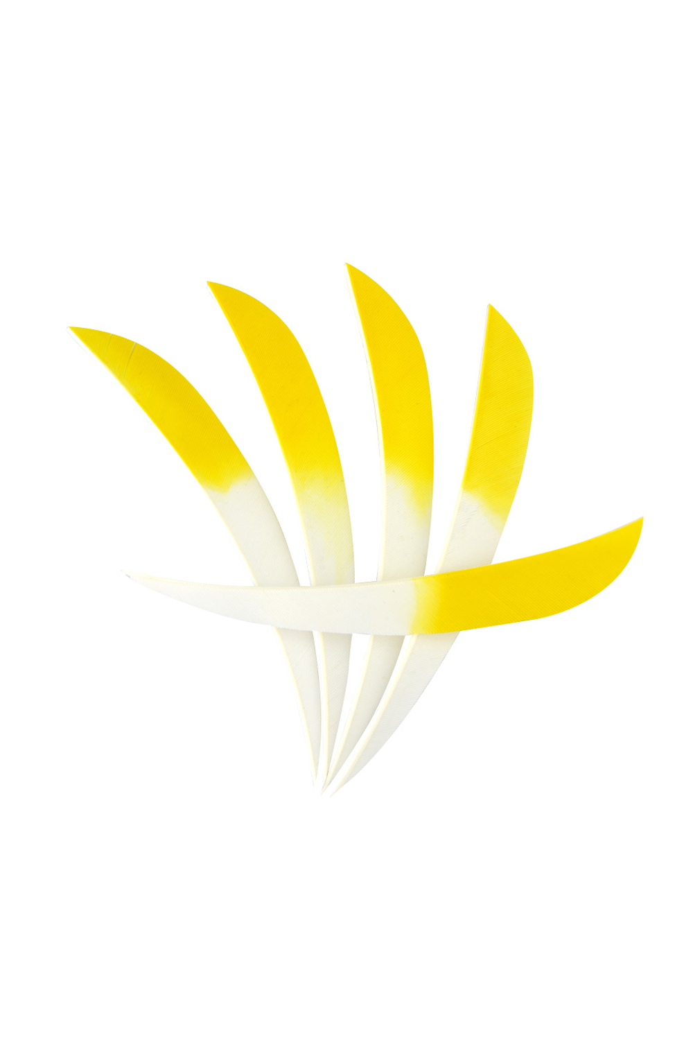 5" Dyed Real Feathers, Gradient Feathers For Archery-Lokearchery