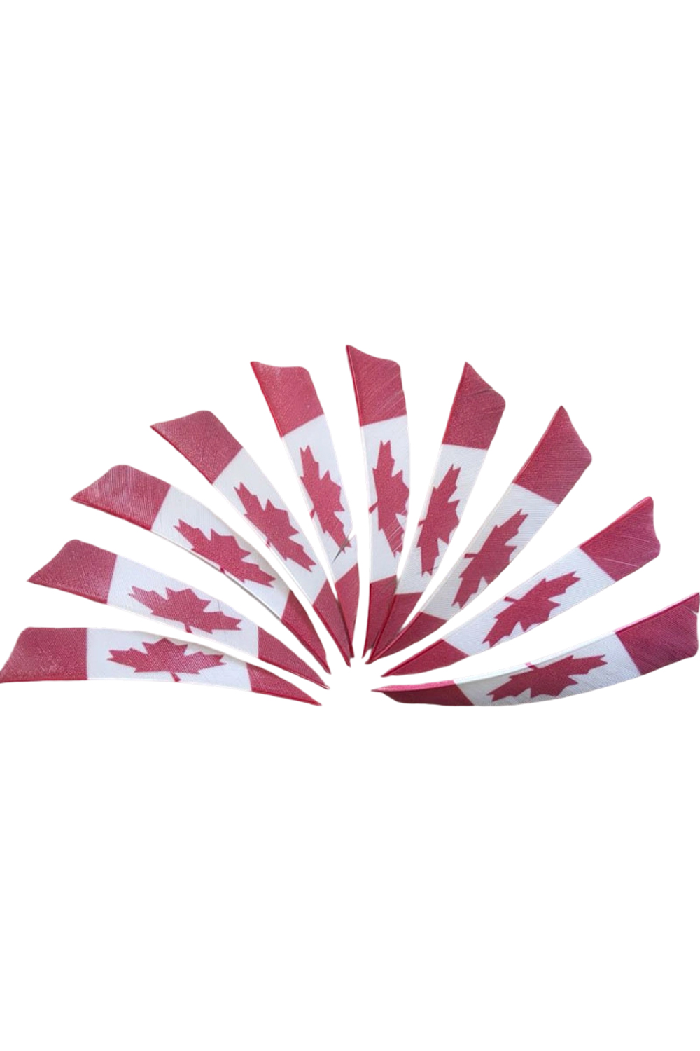 Lokearchery 4 inch Shield Cut Printed Arrow Feathers - 50 Pack