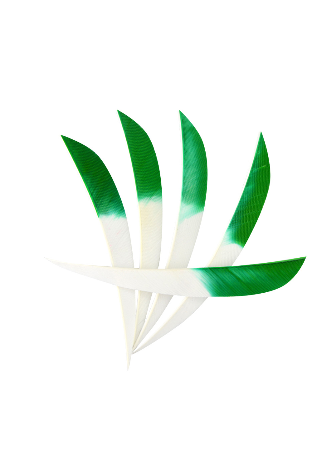 5" Dyed Real Feathers, Gradient Feathers For Archery-Lokearchery