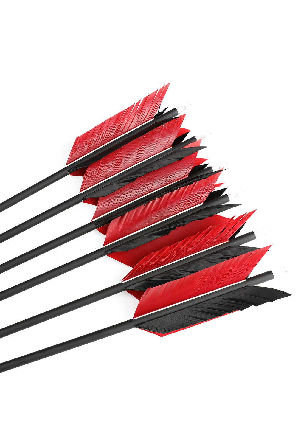 Sharrow ID 6.2mm Carbon Flu Flu Hunting Arrows-Lokearchery